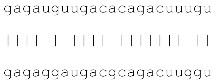 Viruses 12 00614 i007 Viruses 12 00614 i007