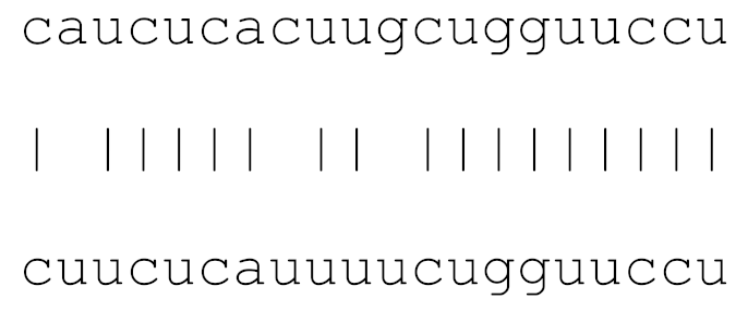 Viruses 12 00614 i009 Viruses 12 00614 i009