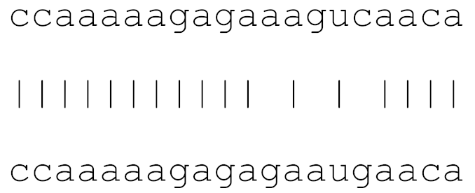 Viruses 12 00614 i011 Viruses 12 00614 i011