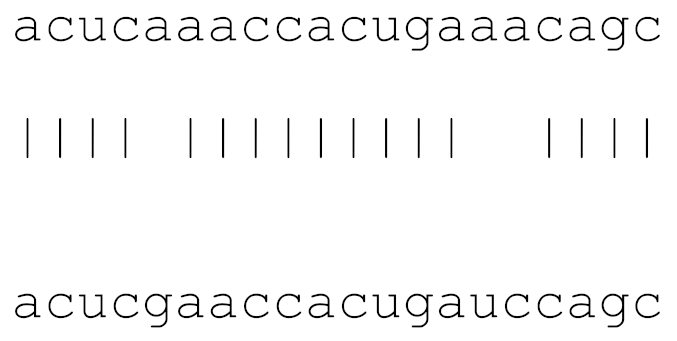 Viruses 12 00614 i012 Viruses 12 00614 i012