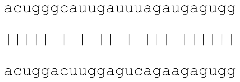 Viruses 12 00614 i014 Viruses 12 00614 i014