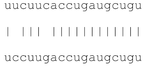 Viruses 12 00614 i015 Viruses 12 00614 i015