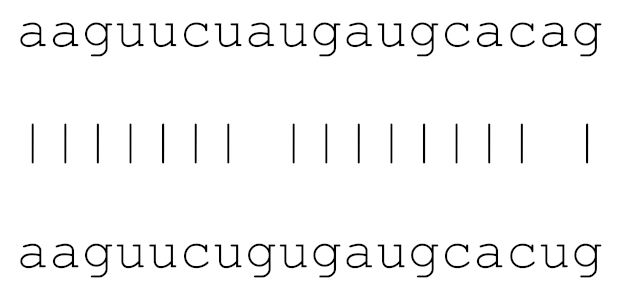 Viruses 12 00614 i019 Viruses 12 00614 i019