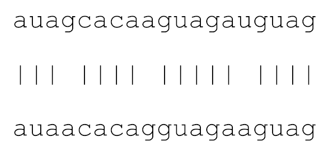 Viruses 12 00614 i021 Viruses 12 00614 i021