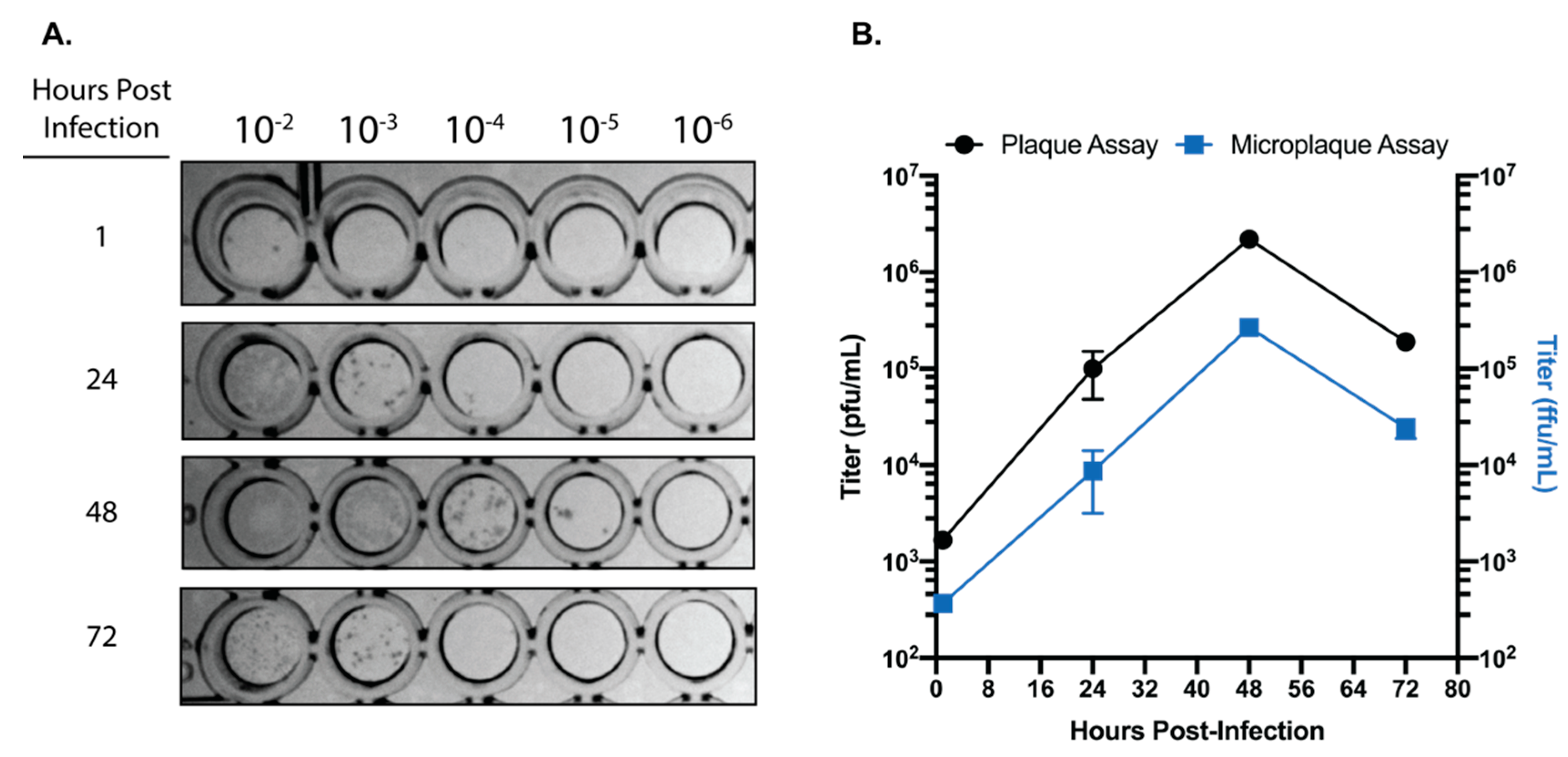 Viruses 12 00622 g003