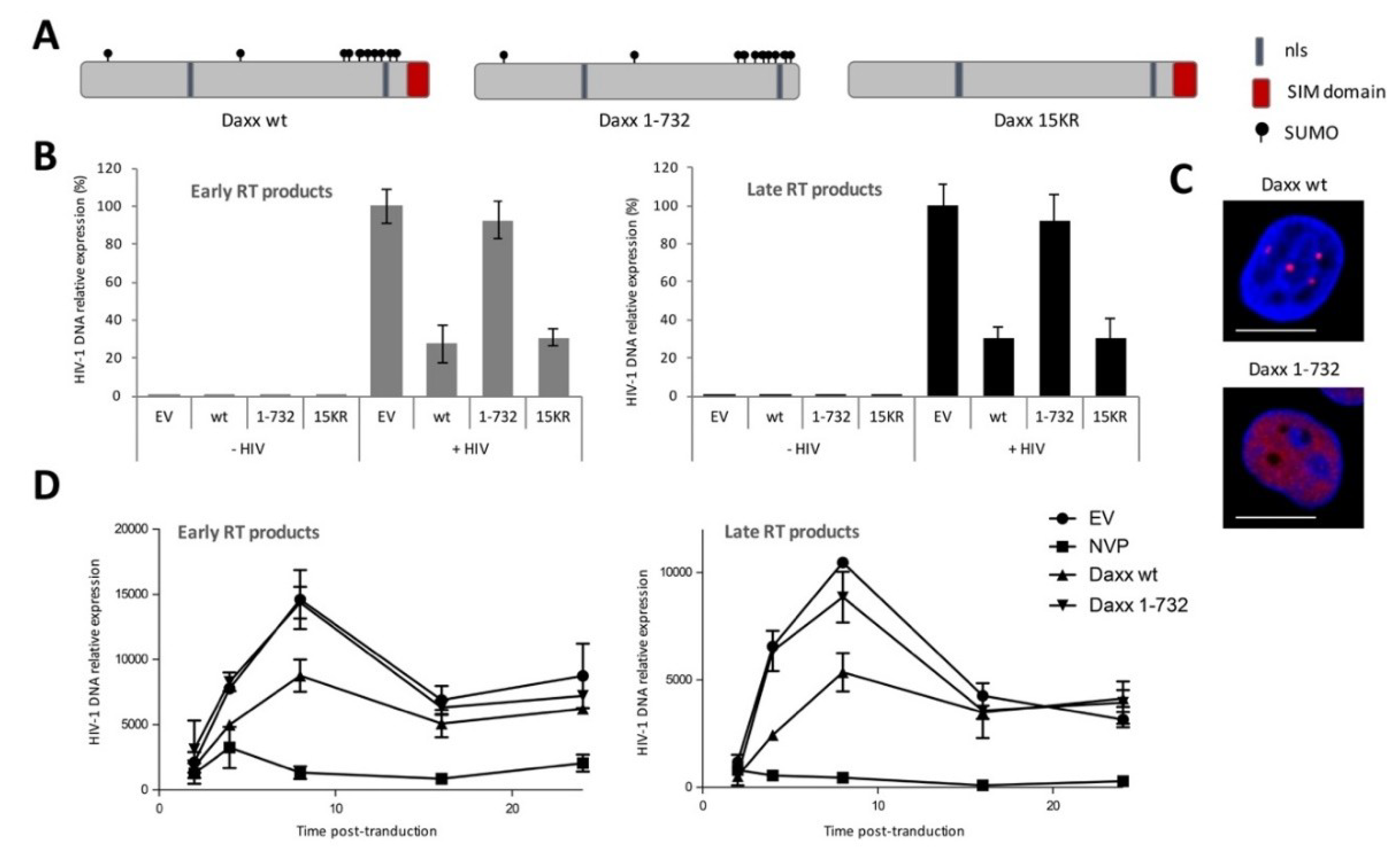 Viruses 12 00636 g002 Viruses 12 00636 g002