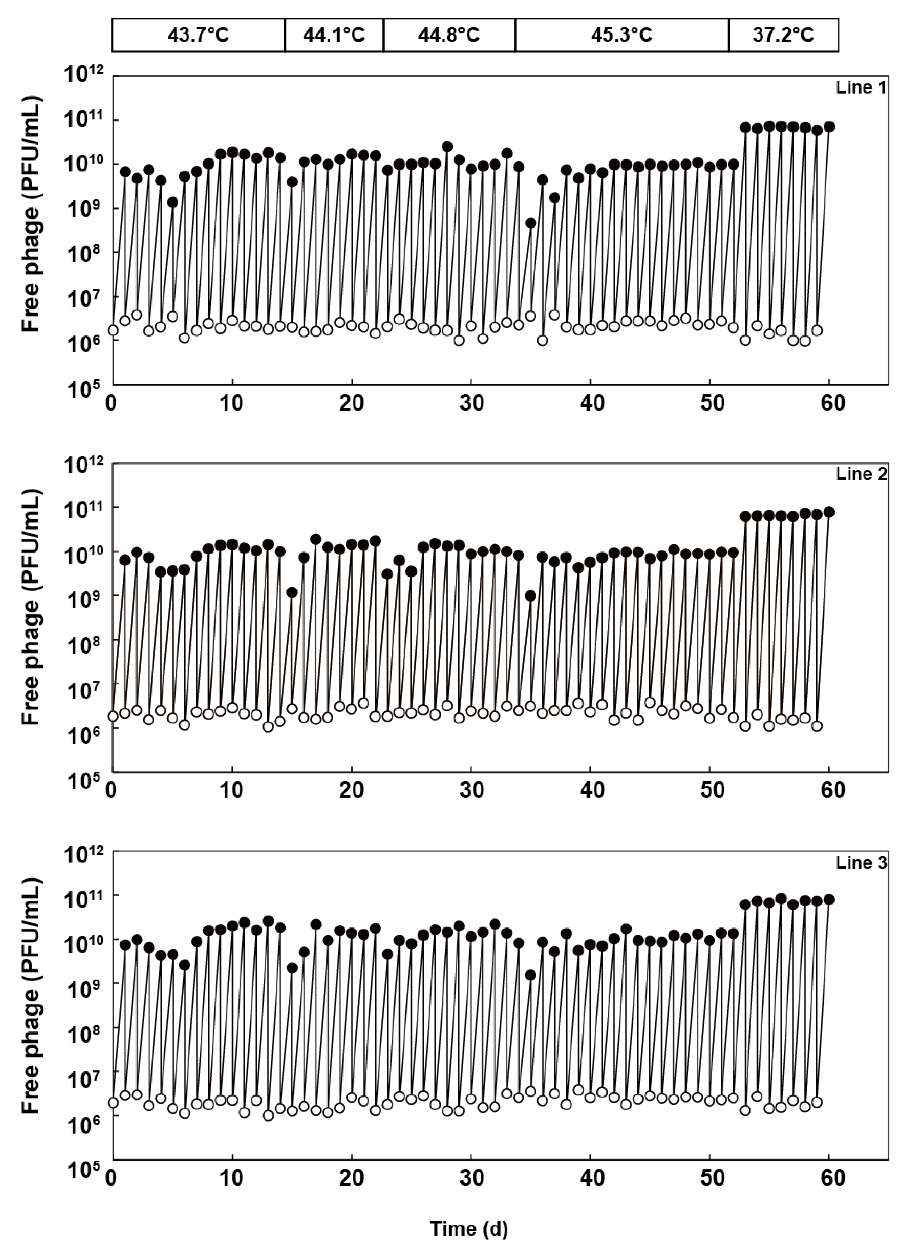 Viruses 12 00638 g002 Viruses 12 00638 g002
