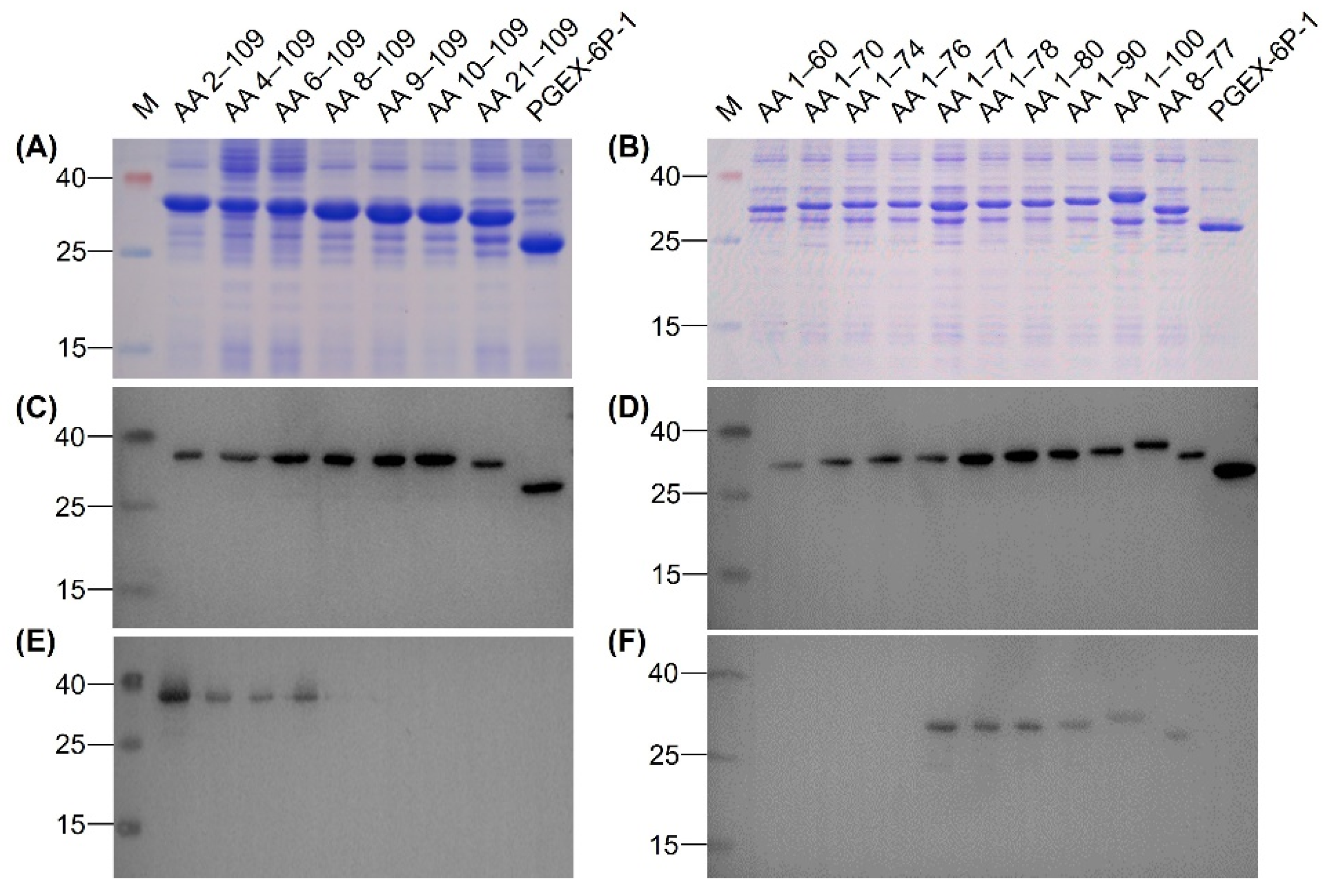 Viruses 12 00647 g005 Viruses 12 00647 g005