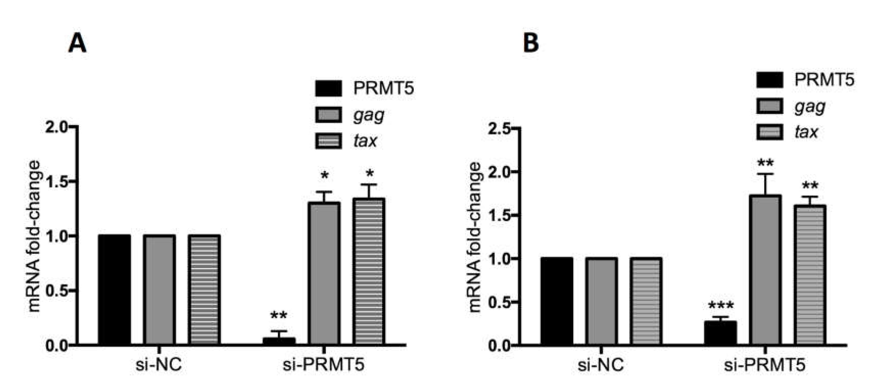 Viruses 12 00650 g004 Viruses 12 00650 g004