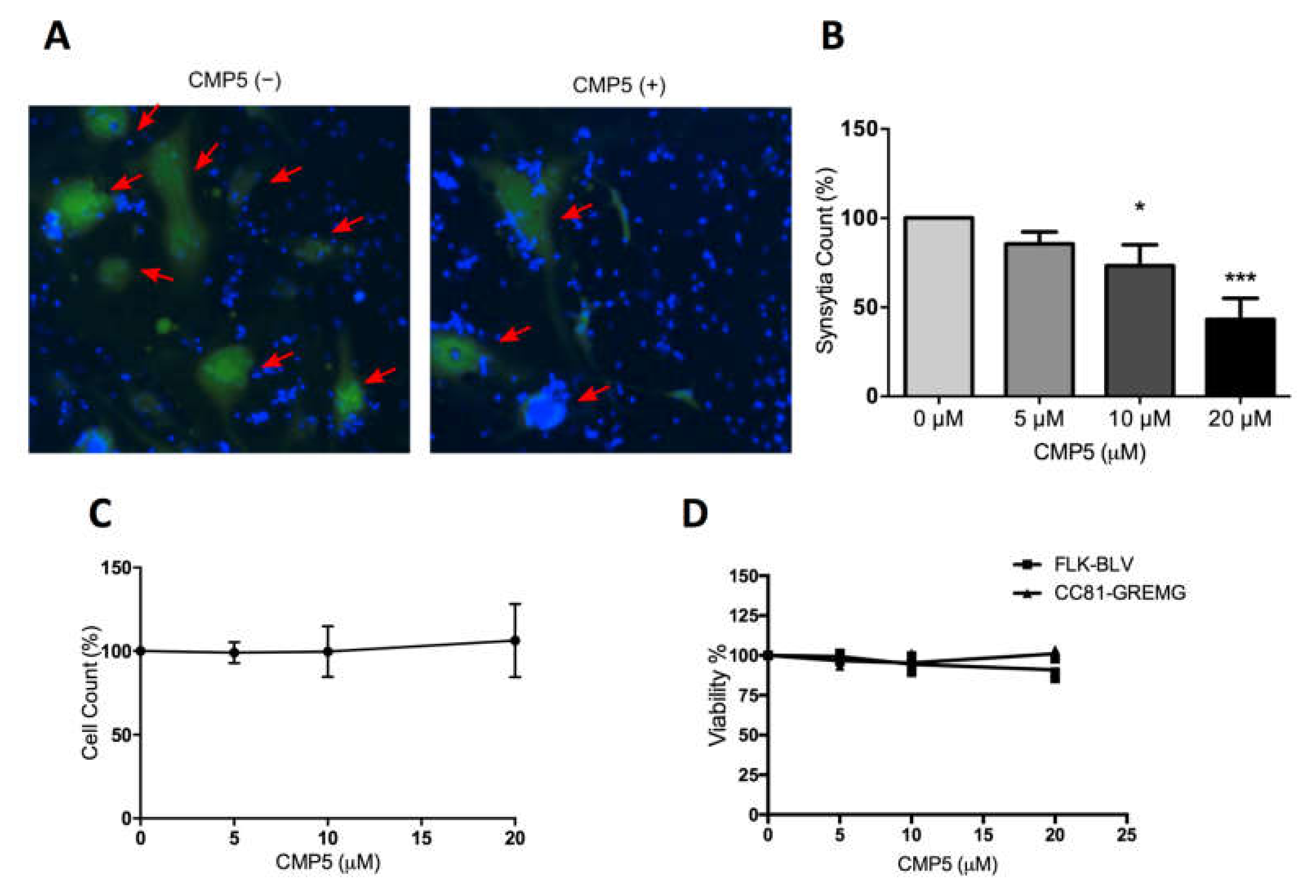 Viruses 12 00650 g009 Viruses 12 00650 g009