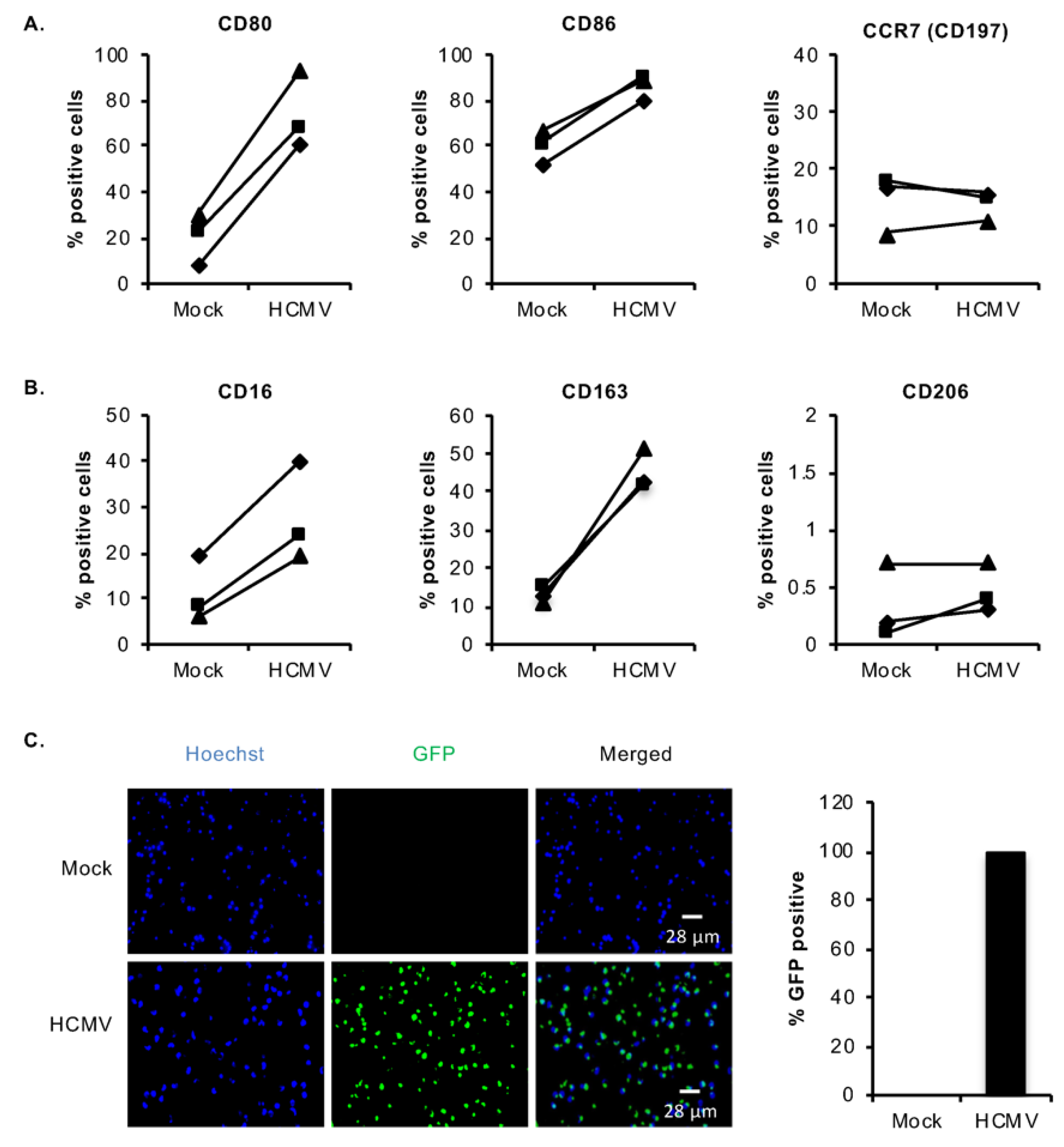 Viruses 12 00652 g001 Viruses 12 00652 g001