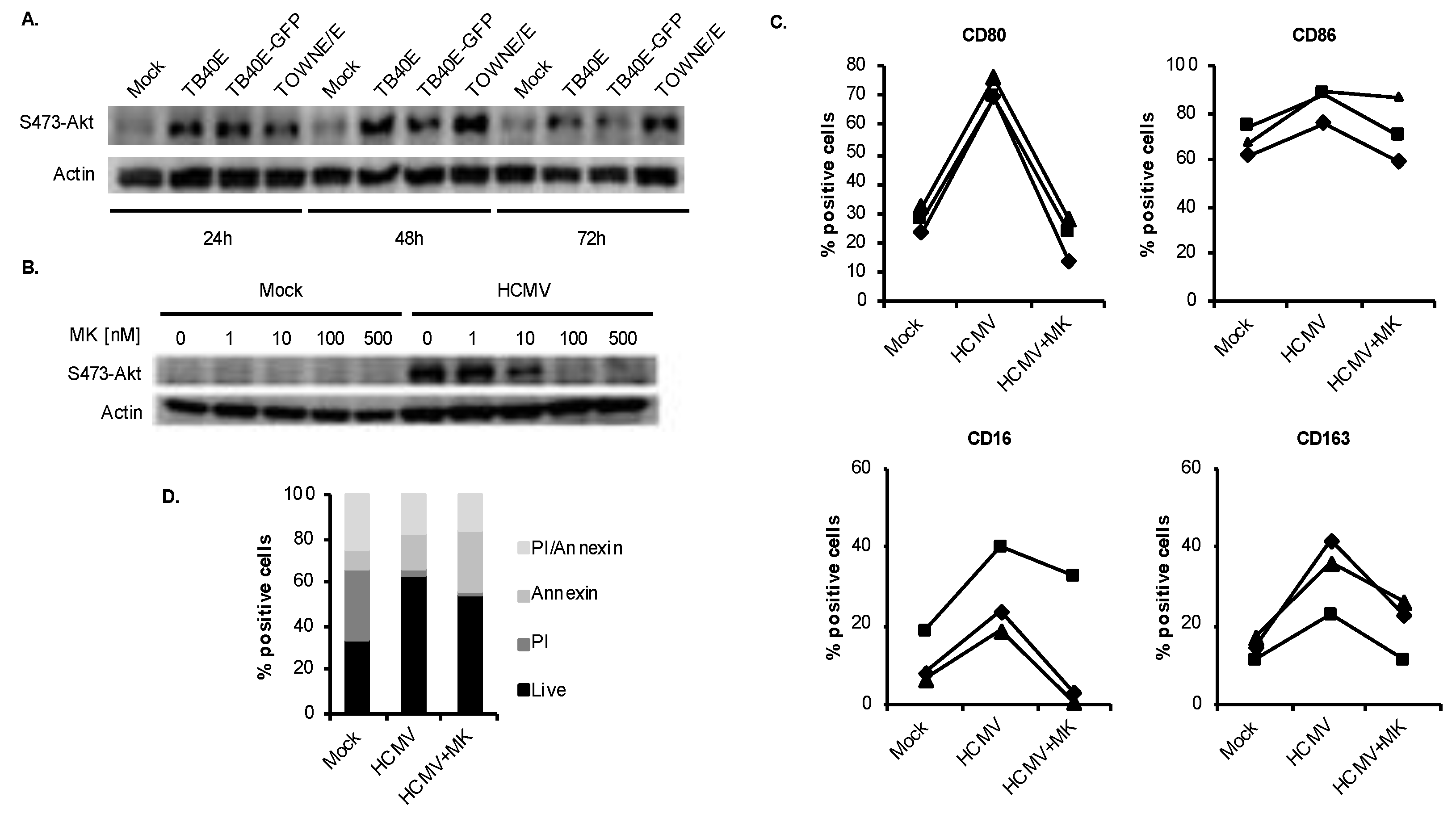 Viruses 12 00652 g002 Viruses 12 00652 g002
