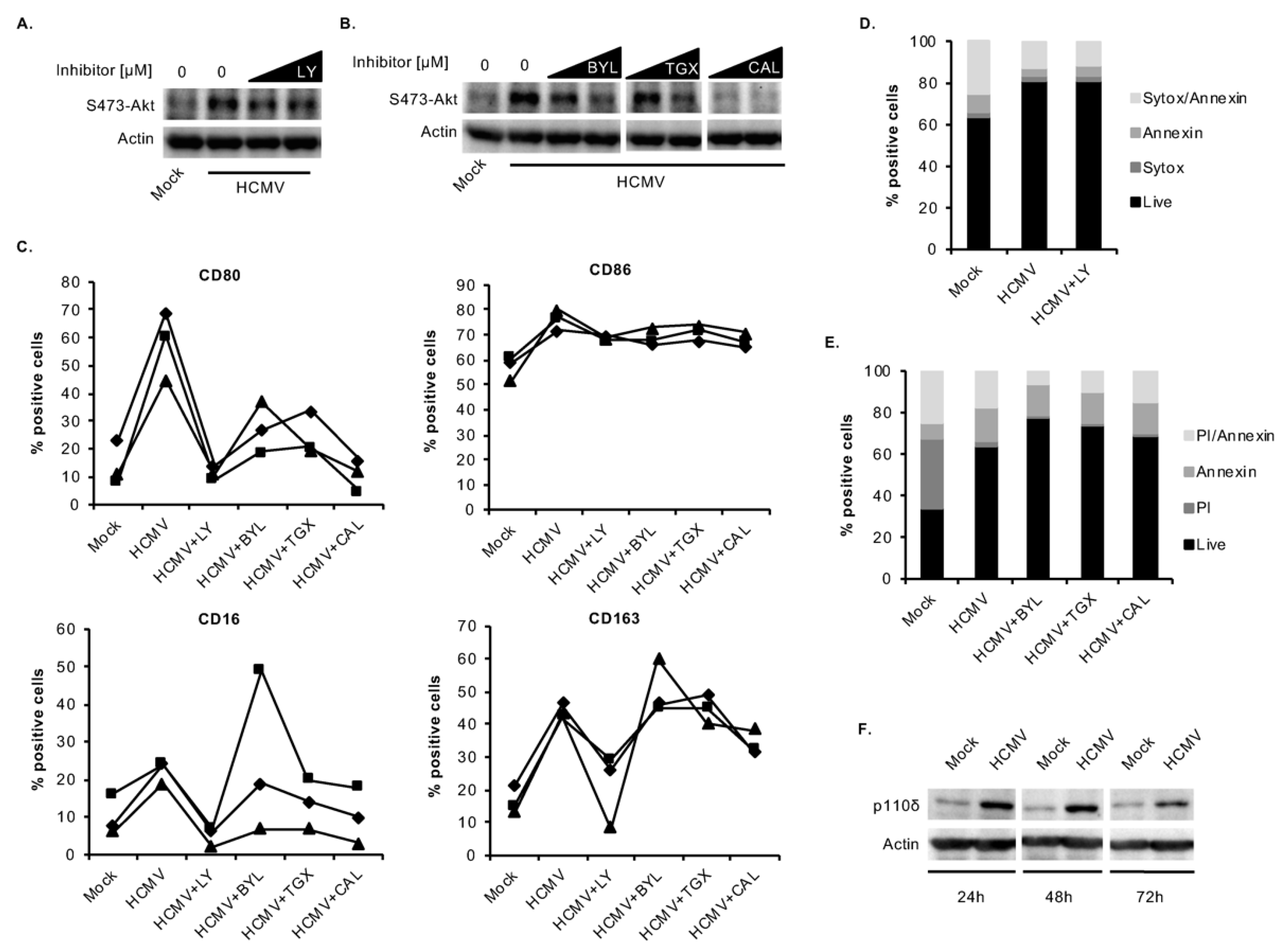 Viruses 12 00652 g003 Viruses 12 00652 g003