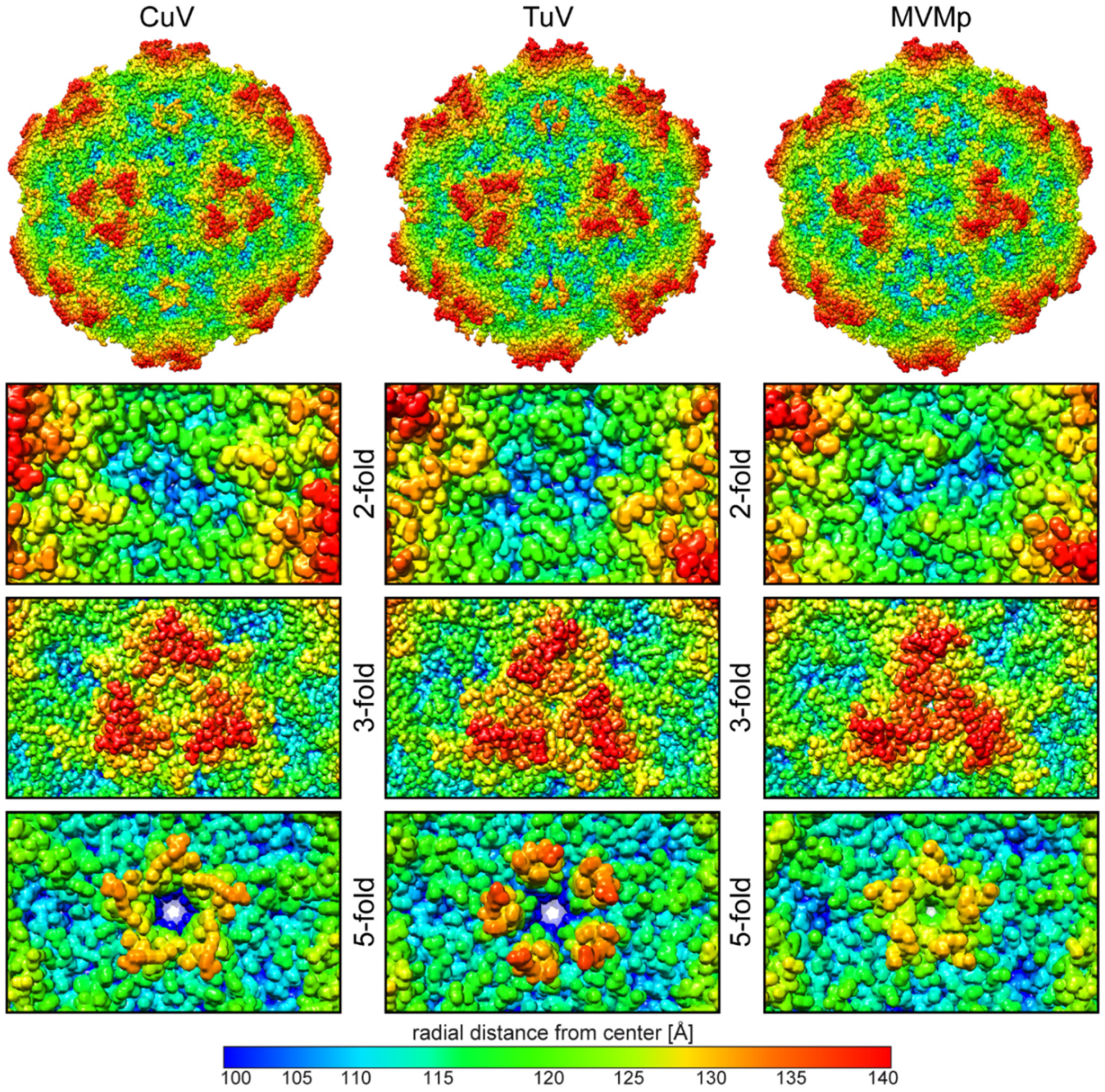 Viruses 12 00653 g002