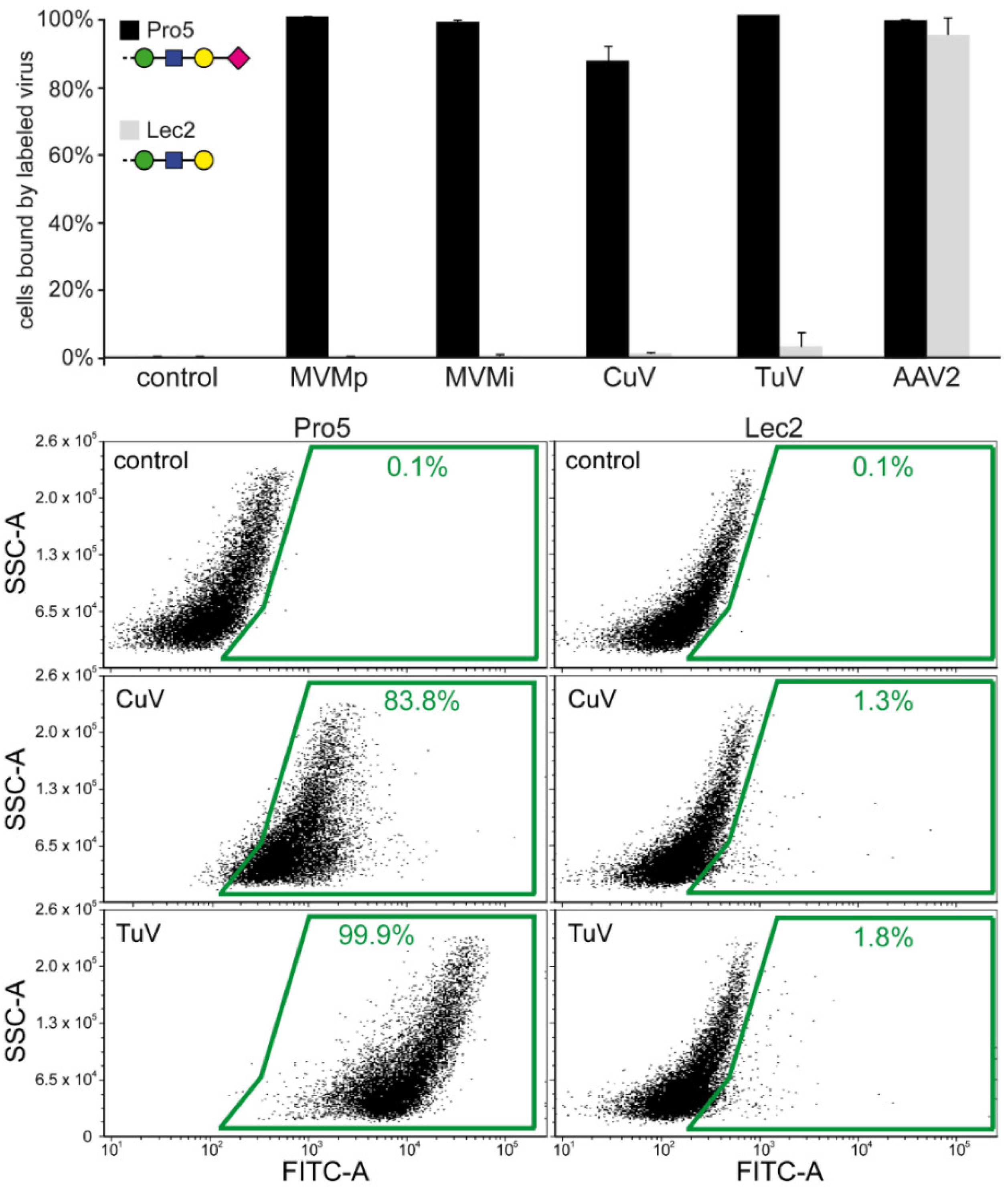 Viruses 12 00653 g007