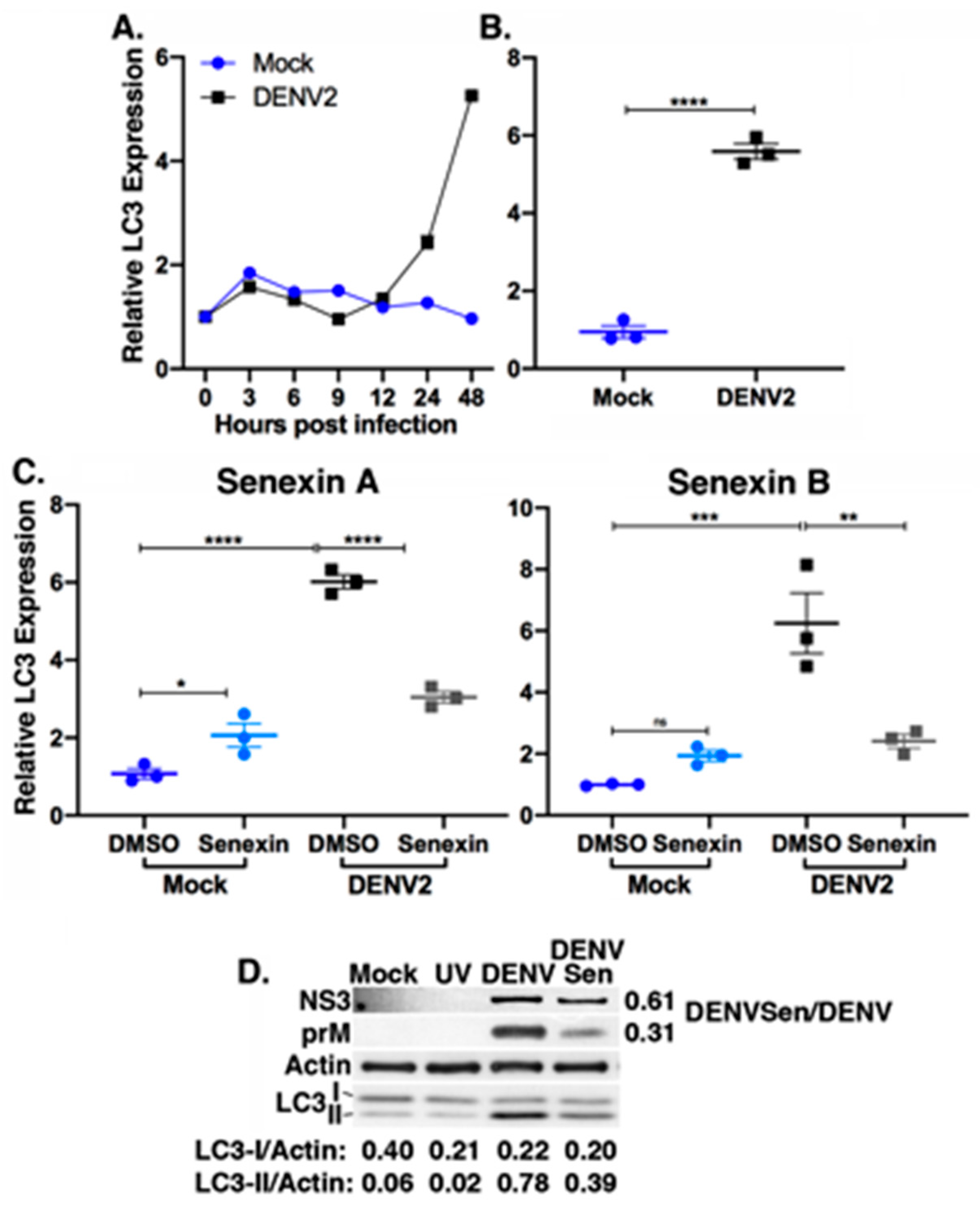 Viruses 12 00654 g005 Viruses 12 00654 g005