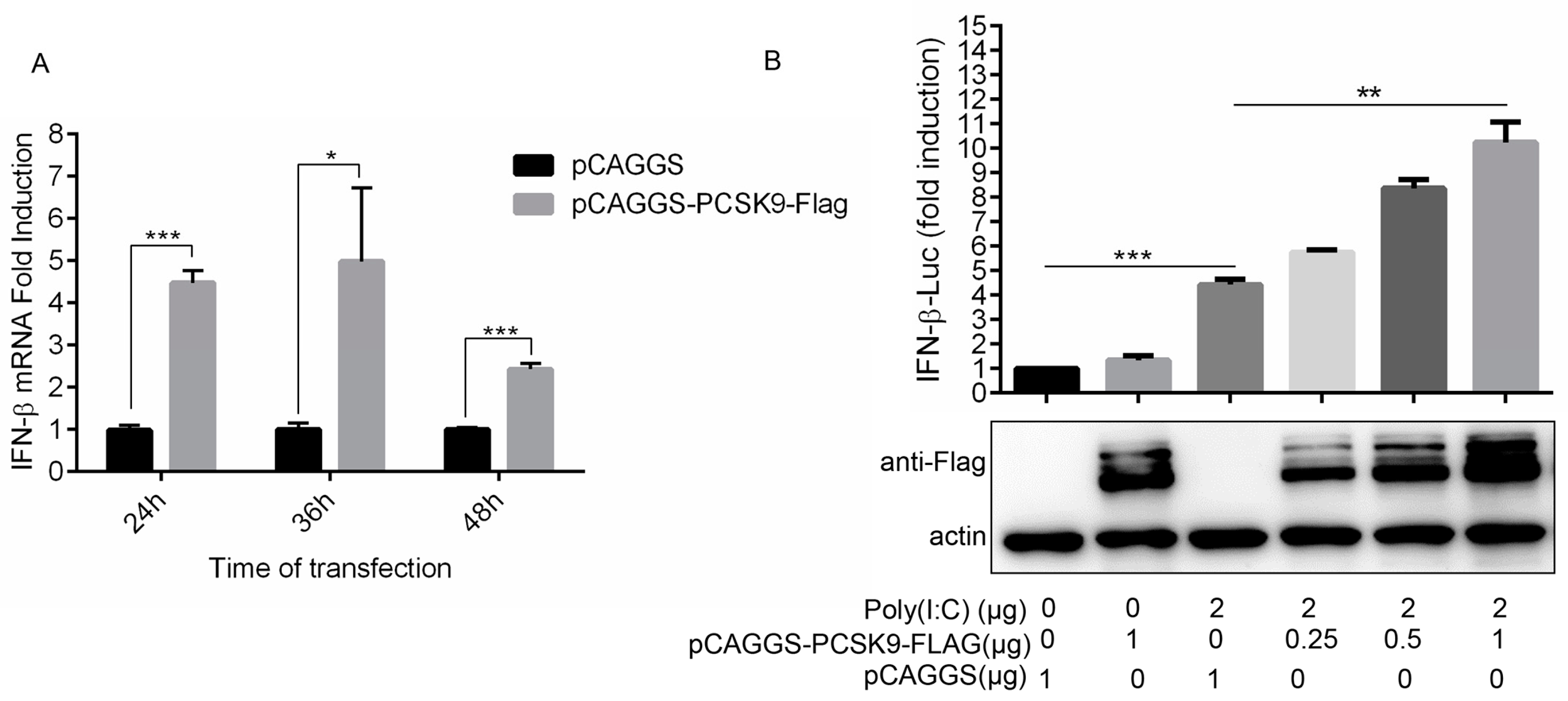 Viruses 12 00655 g004 Viruses 12 00655 g004