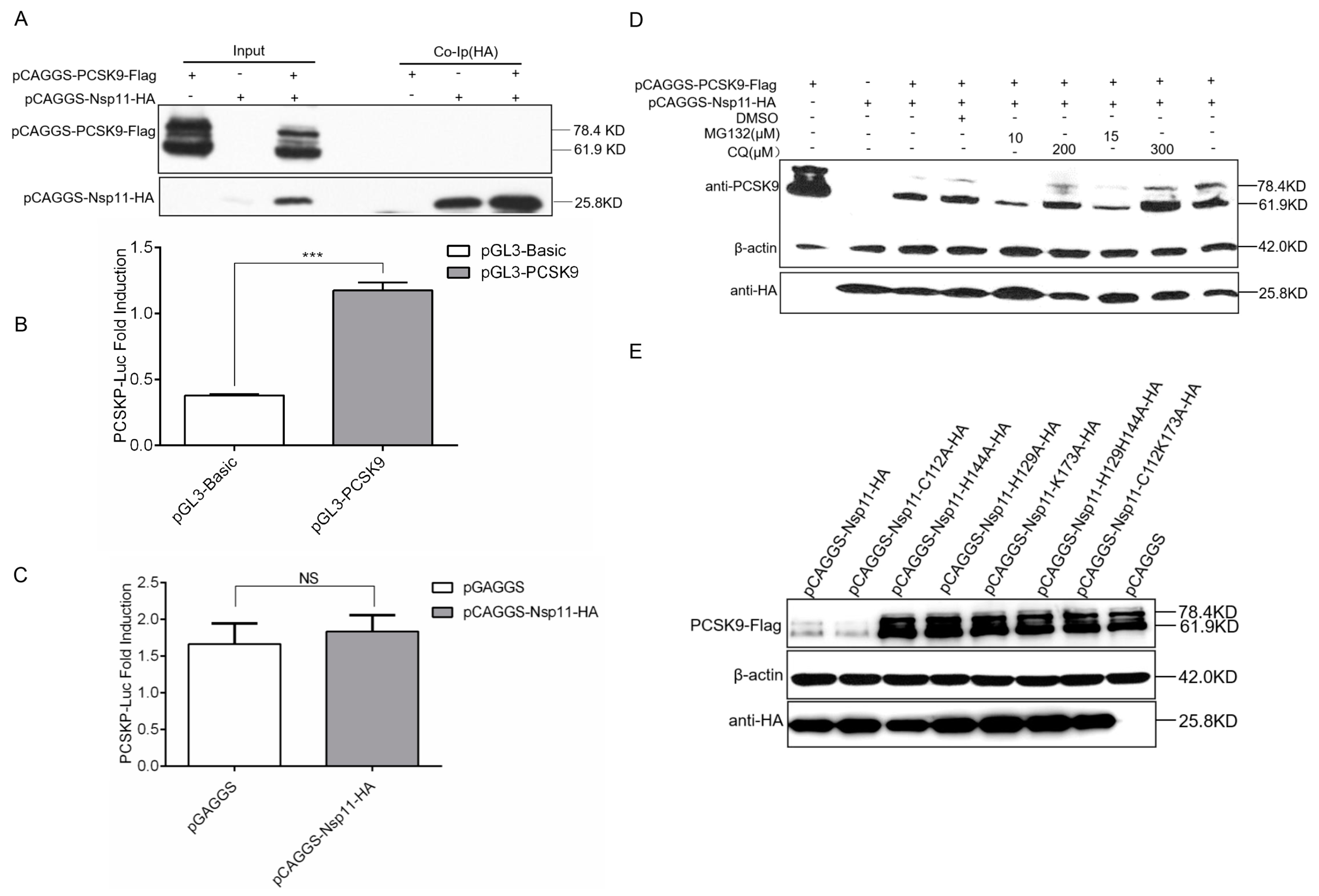 Viruses 12 00655 g007 Viruses 12 00655 g007