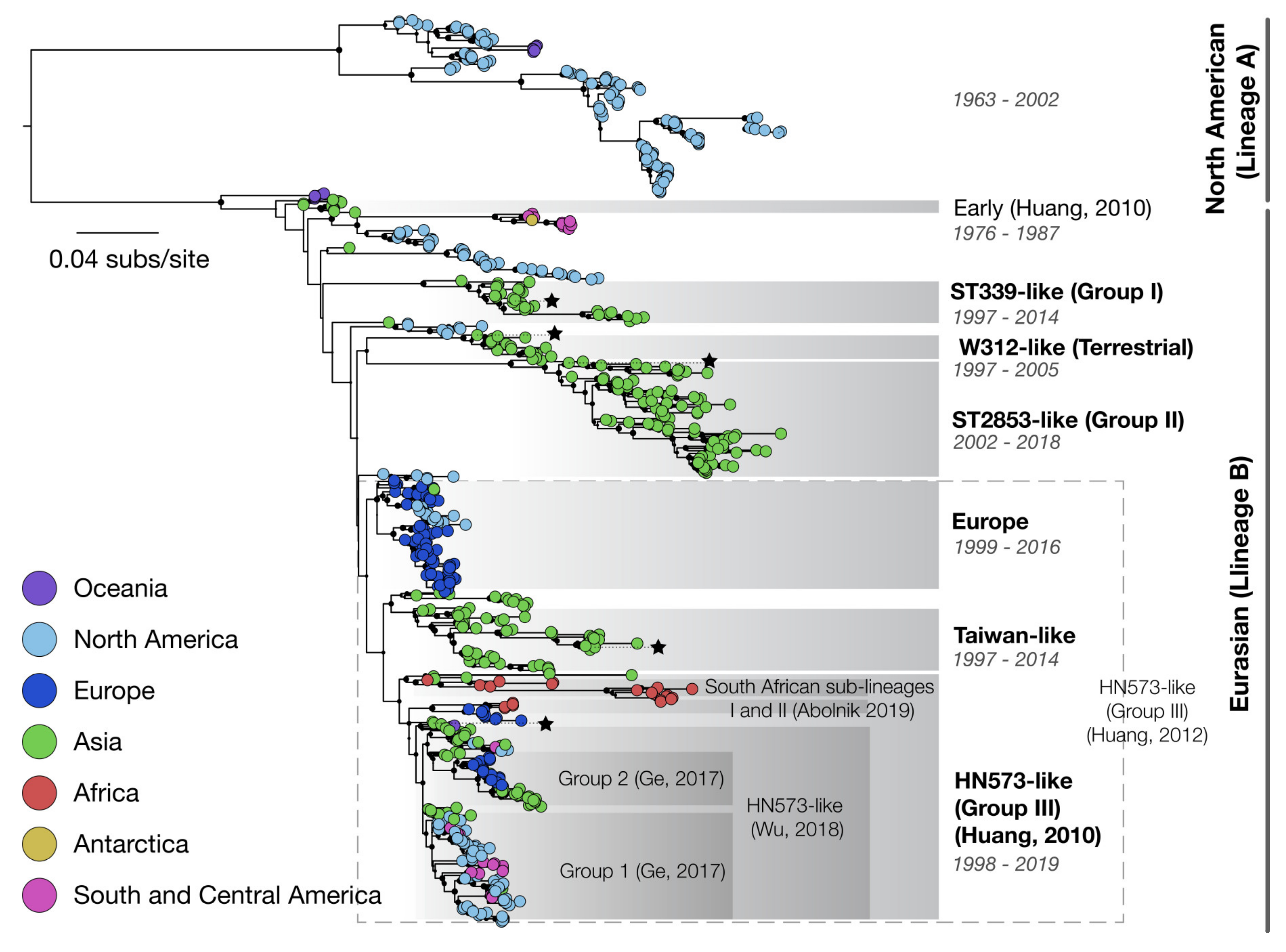 Viruses 12 00673 g004