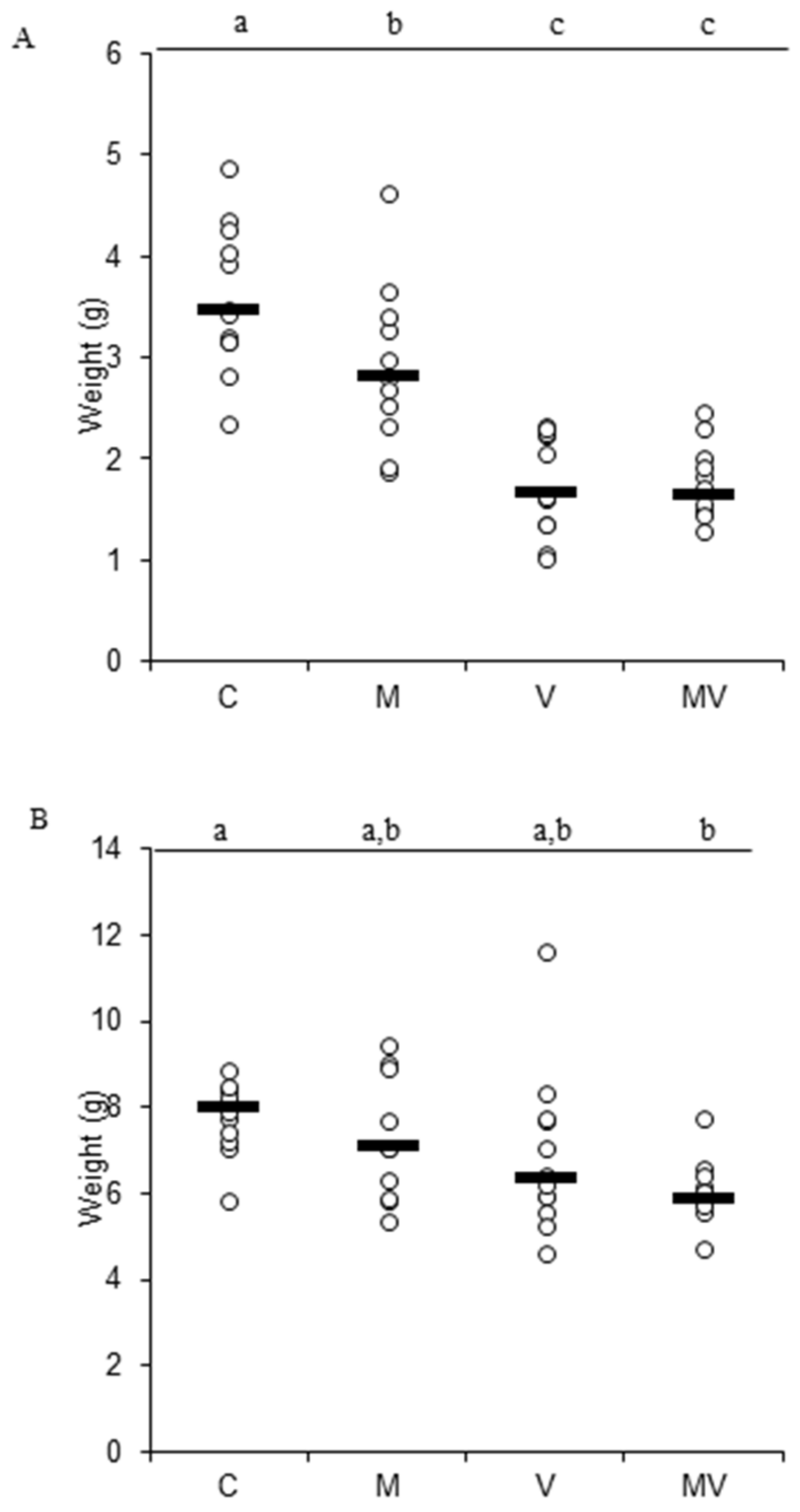 Viruses 12 00675 g003