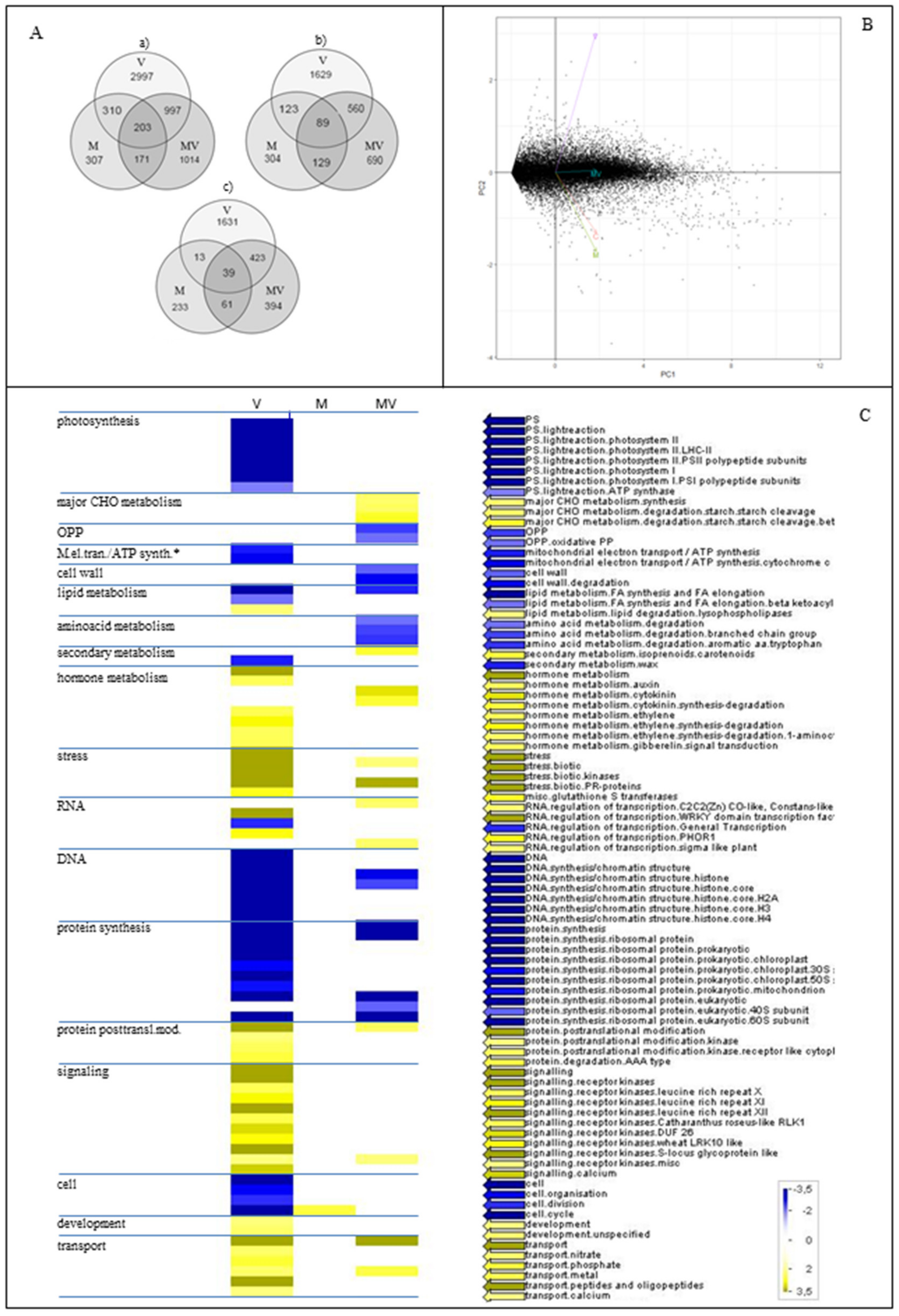 Viruses 12 00675 g006