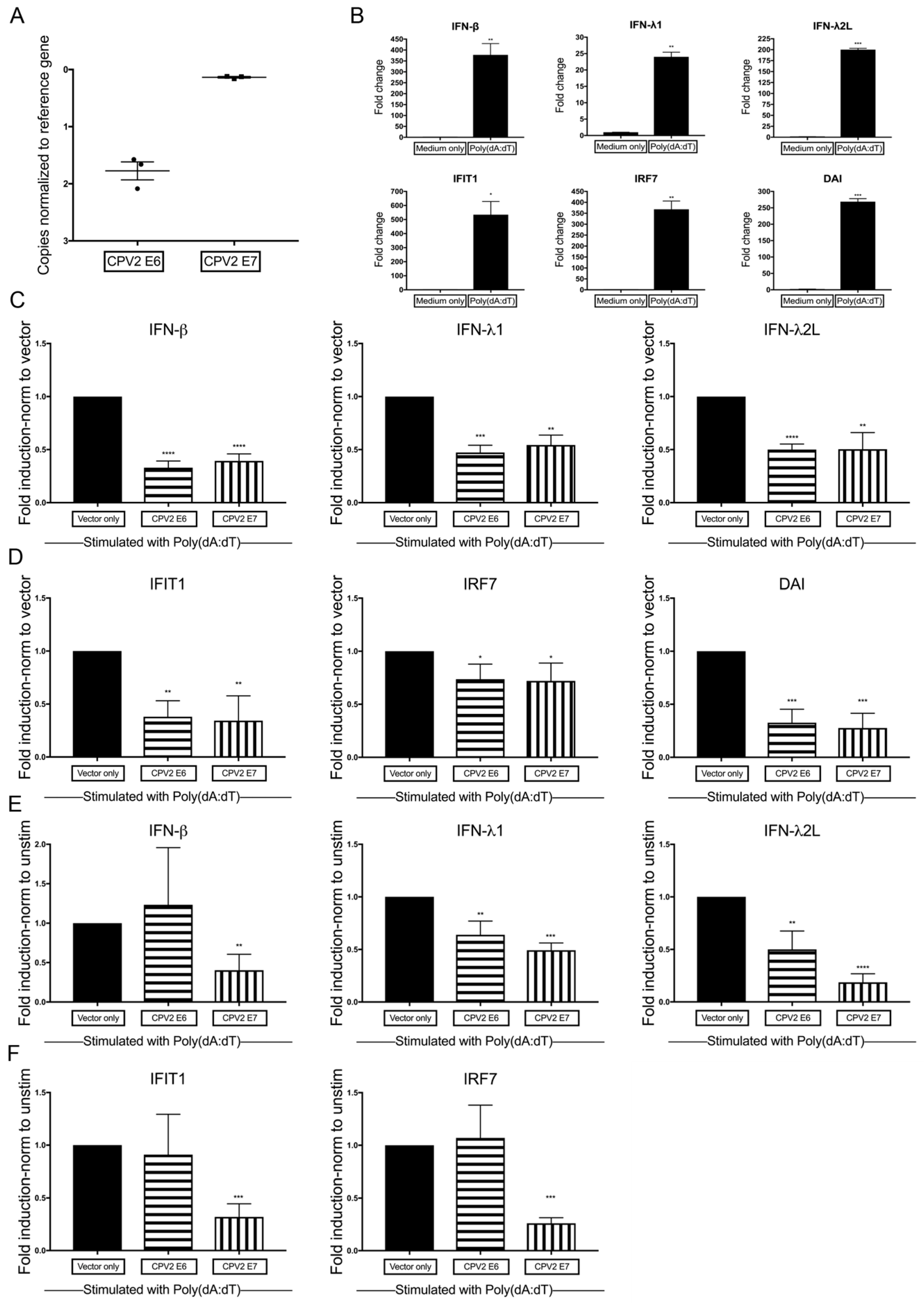 Viruses 12 00677 g002