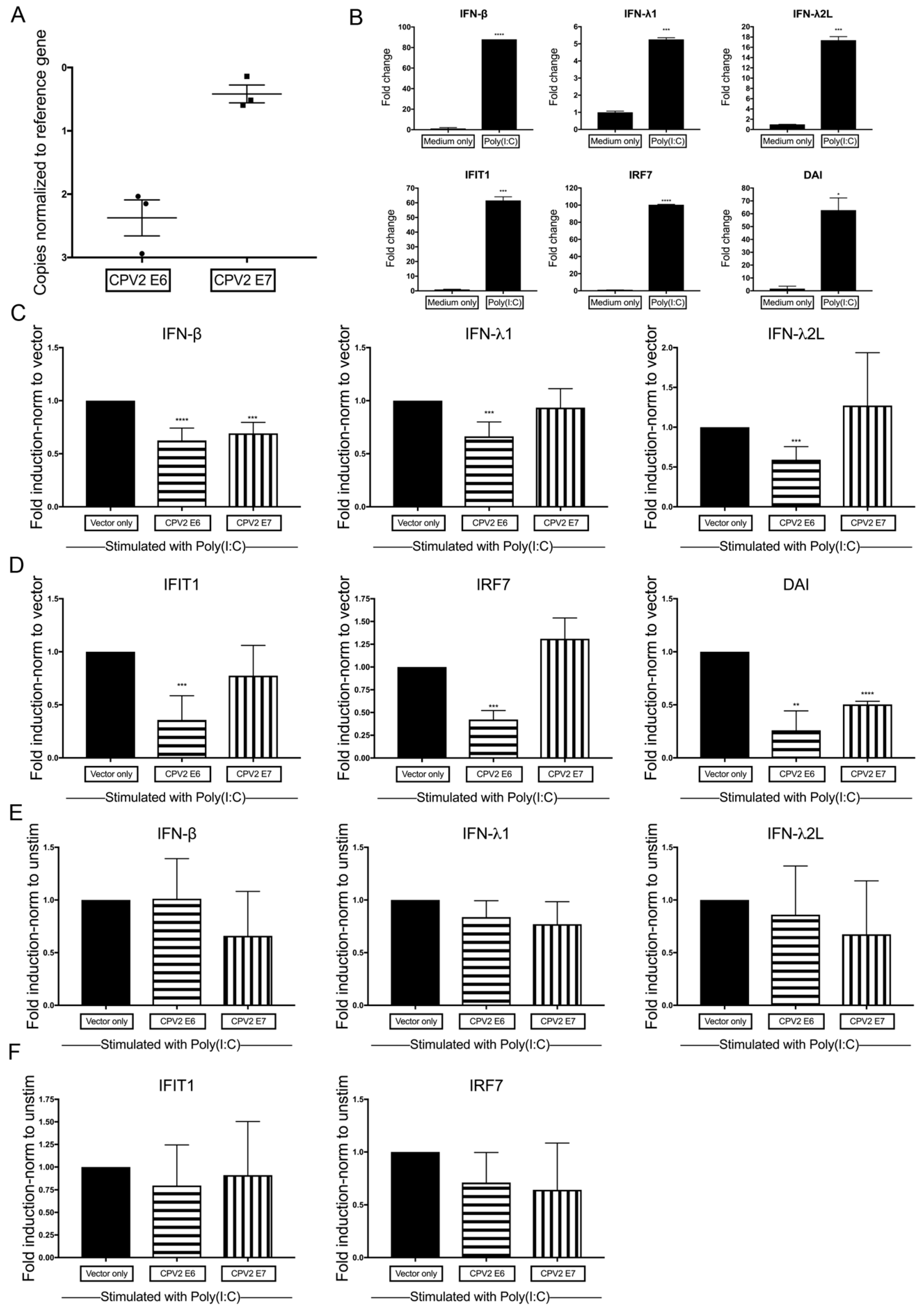 Viruses 12 00677 g003