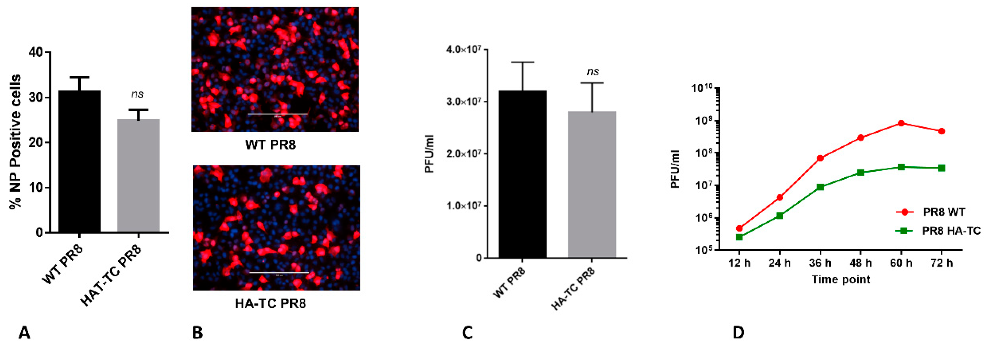 Viruses 12 00687 g002 Viruses 12 00687 g002