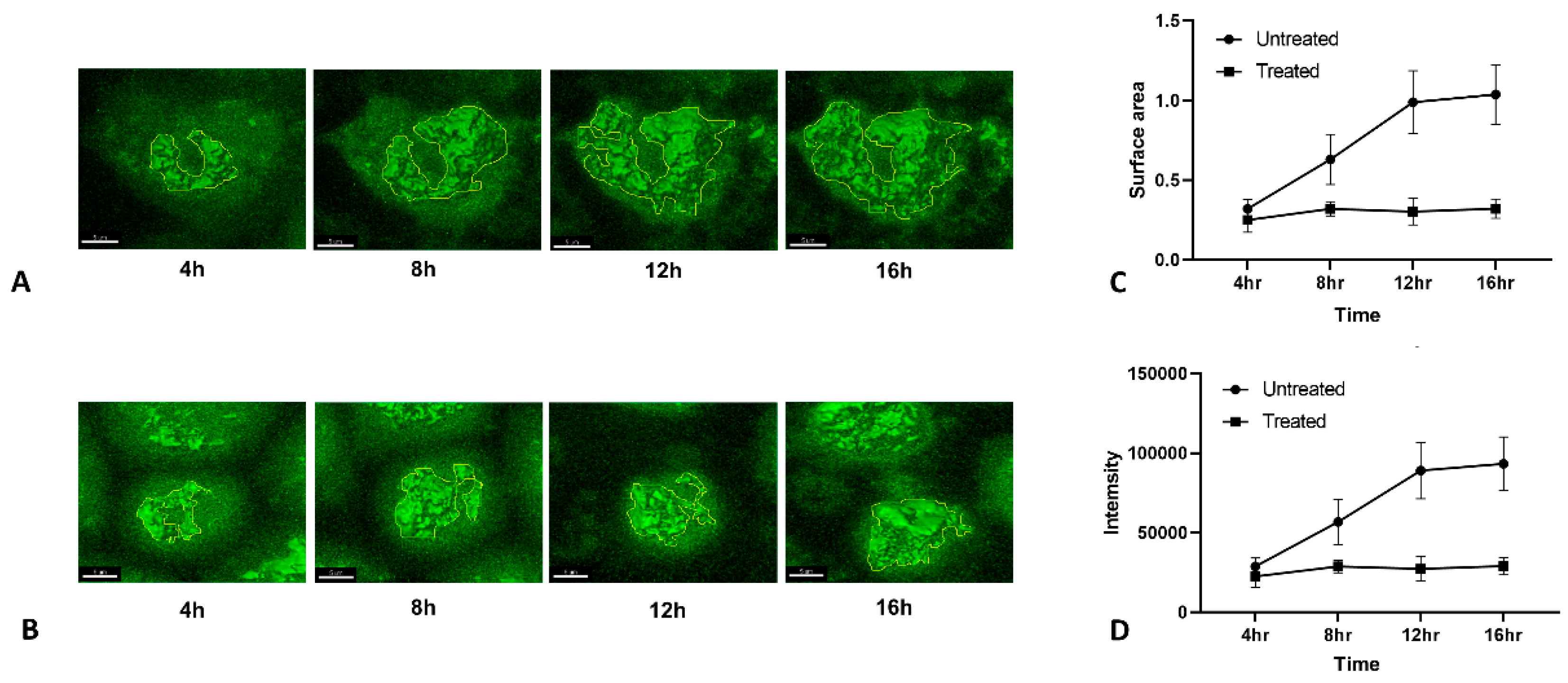 Viruses 12 00687 g005 Viruses 12 00687 g005