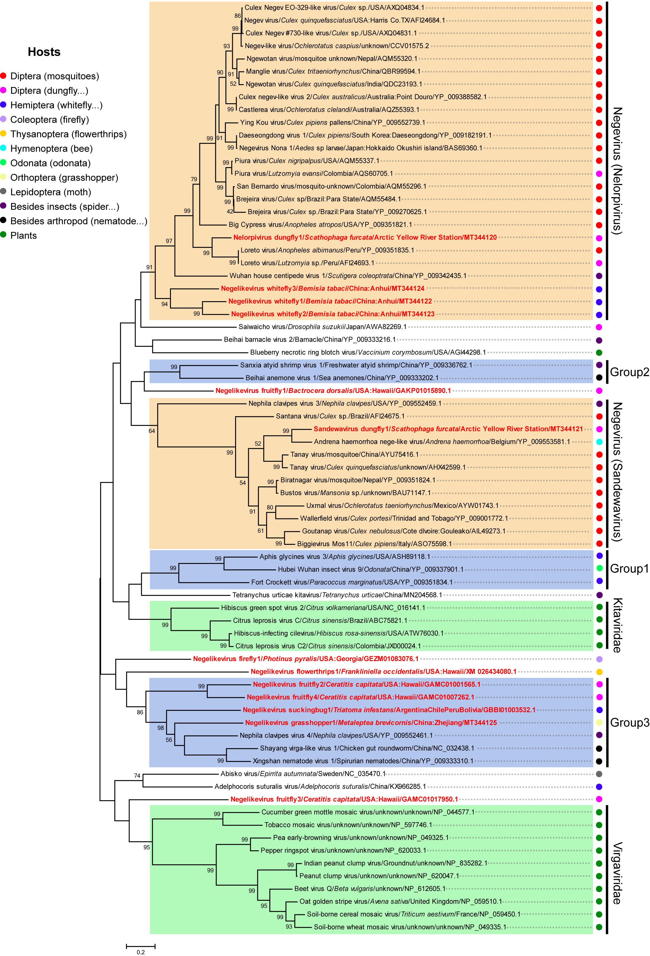 Viruses 12 00692 g003