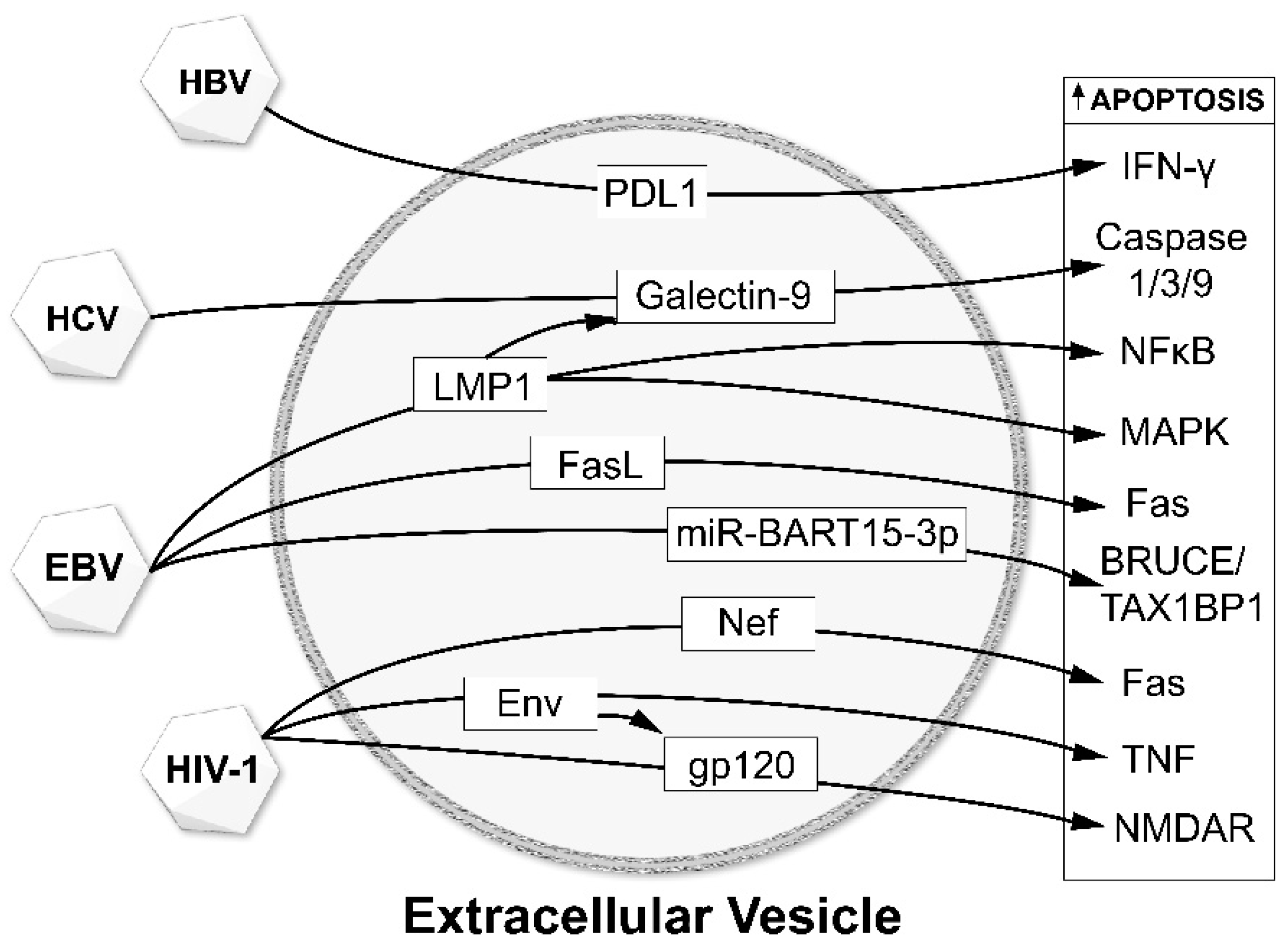 Viruses 12 00700 g002 Viruses 12 00700 g002
