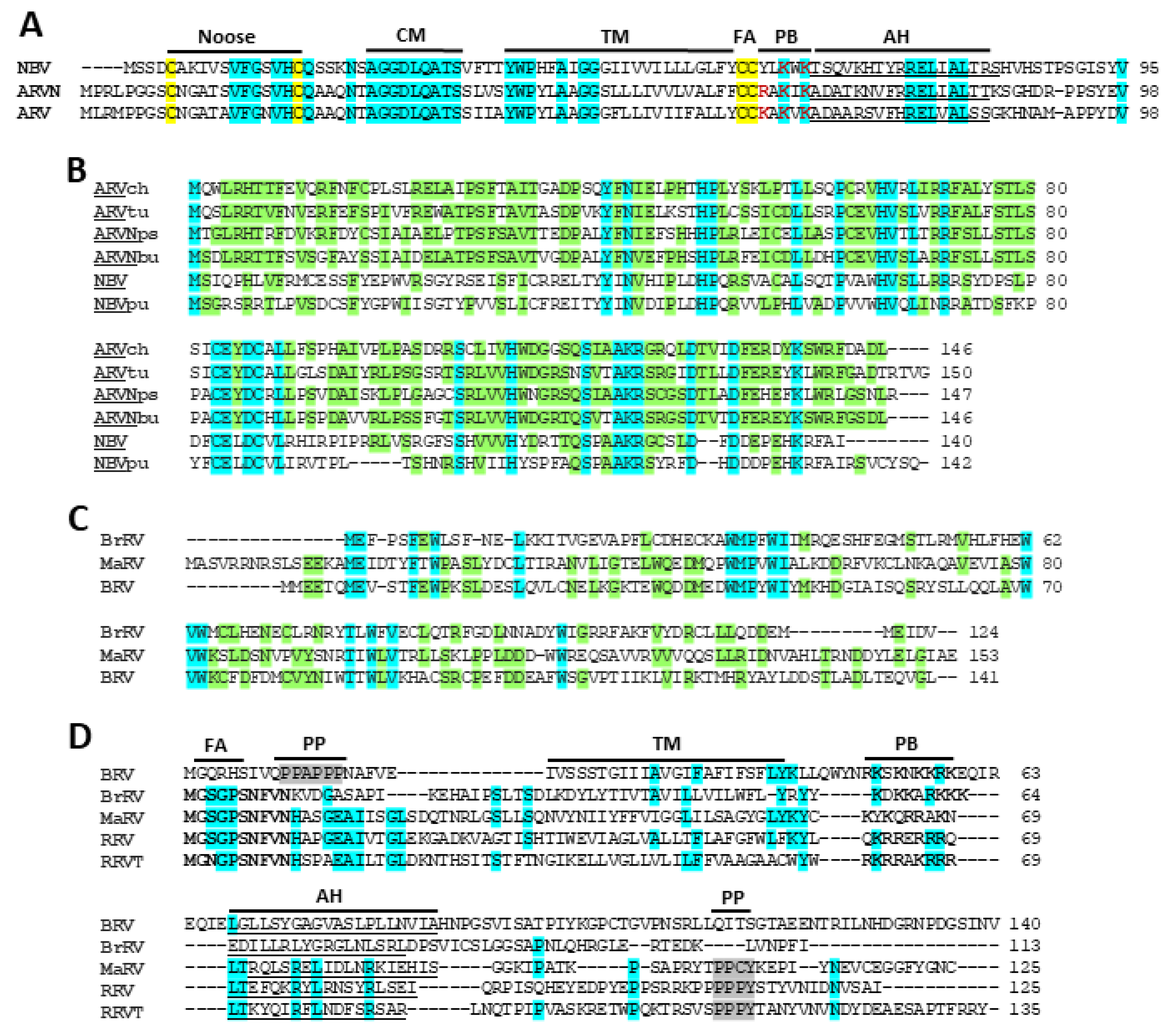 Viruses 12 00702 g004
