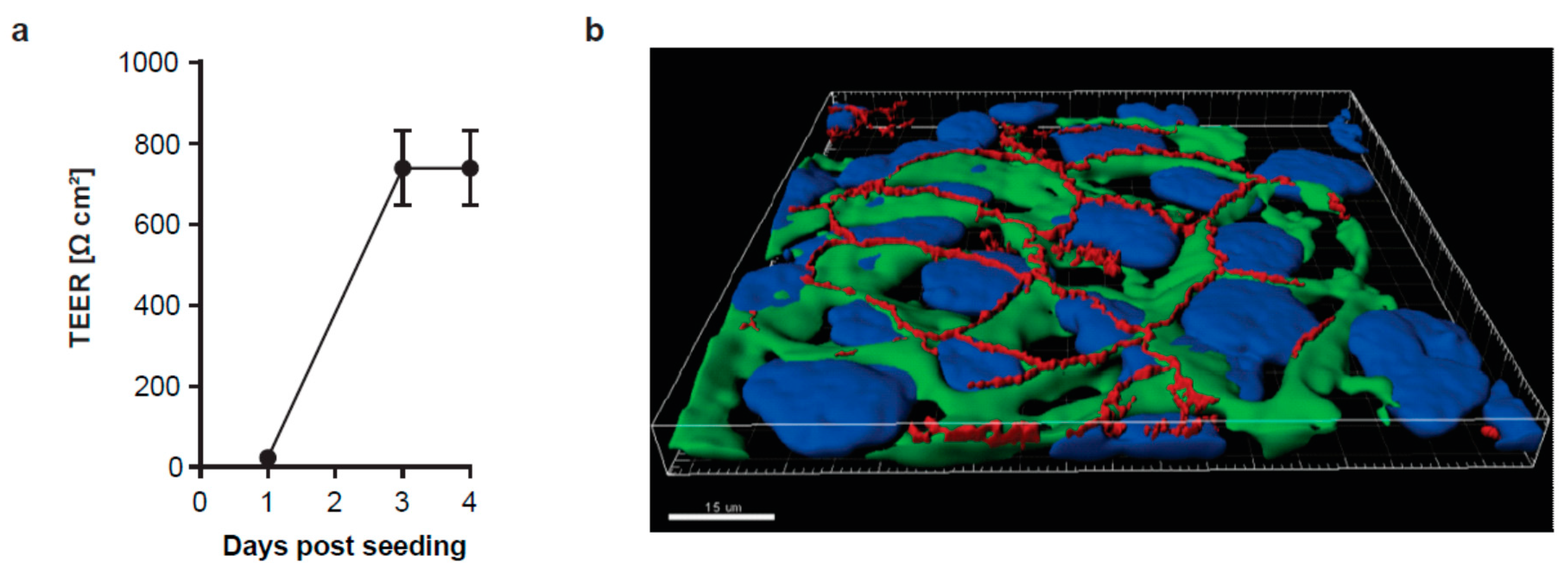 Viruses 12 00703 g001
