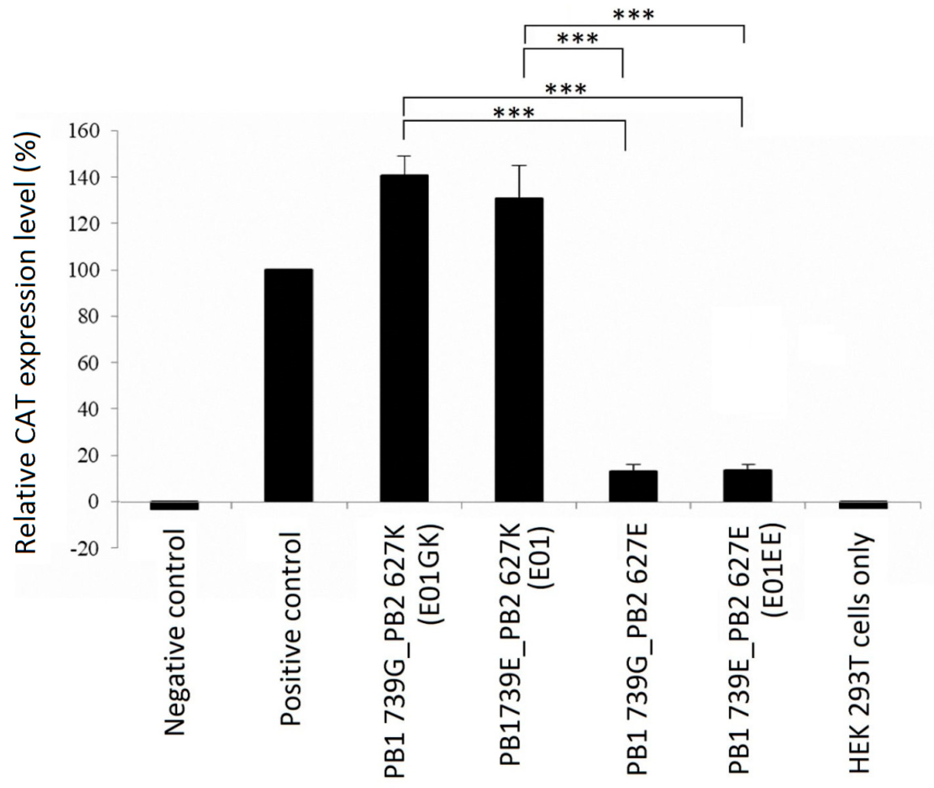 Viruses 12 00704 g004