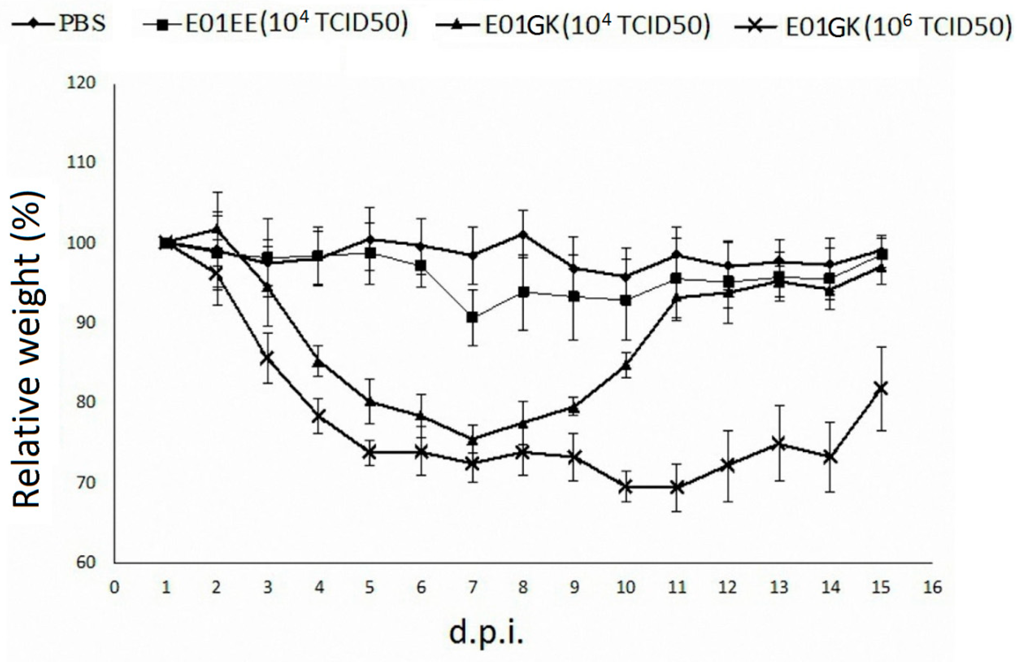 Viruses 12 00704 g005