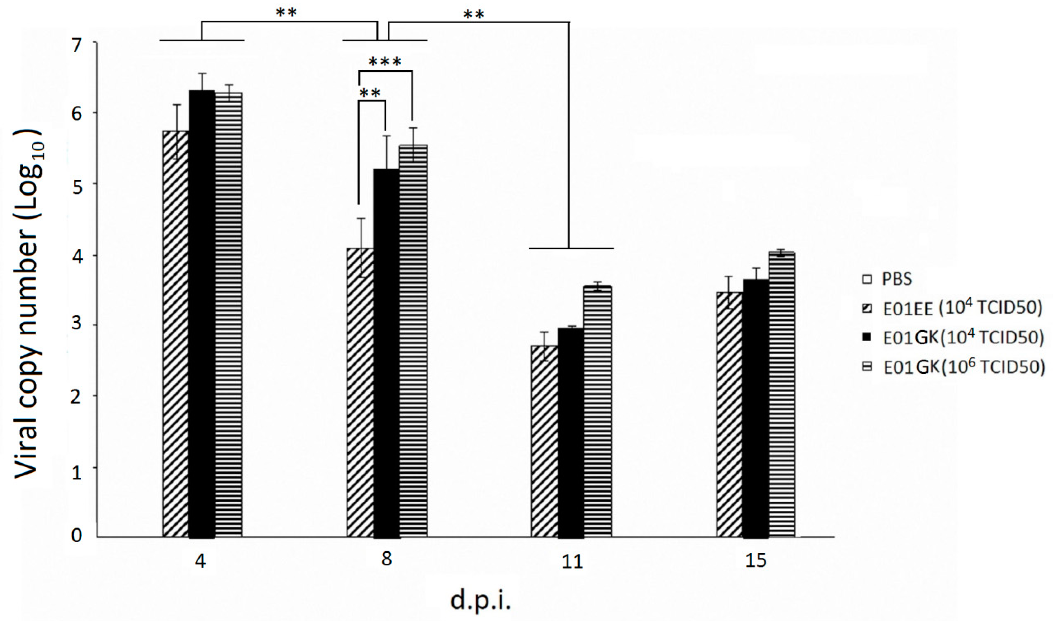 Viruses 12 00704 g006