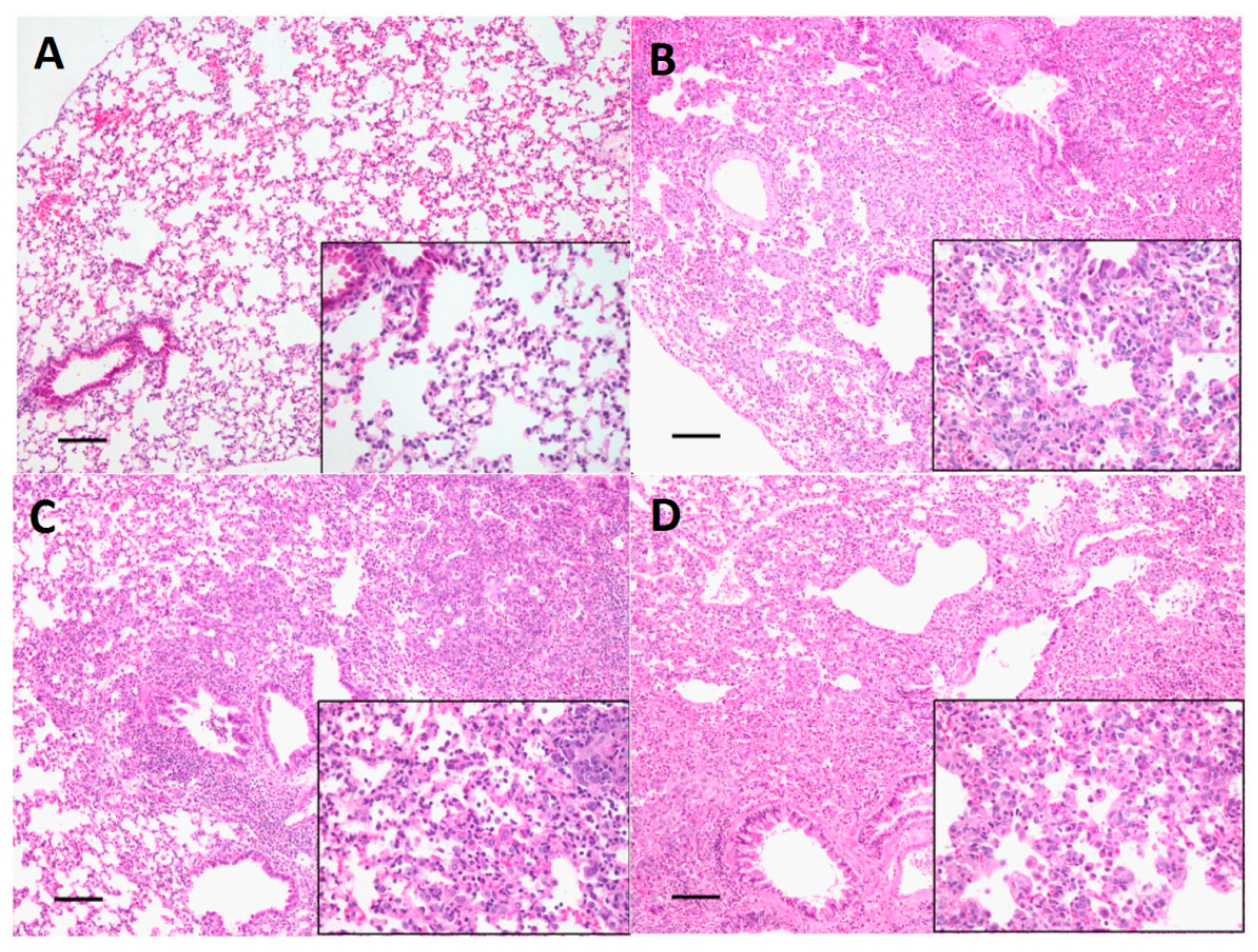 Viruses 12 00704 g007