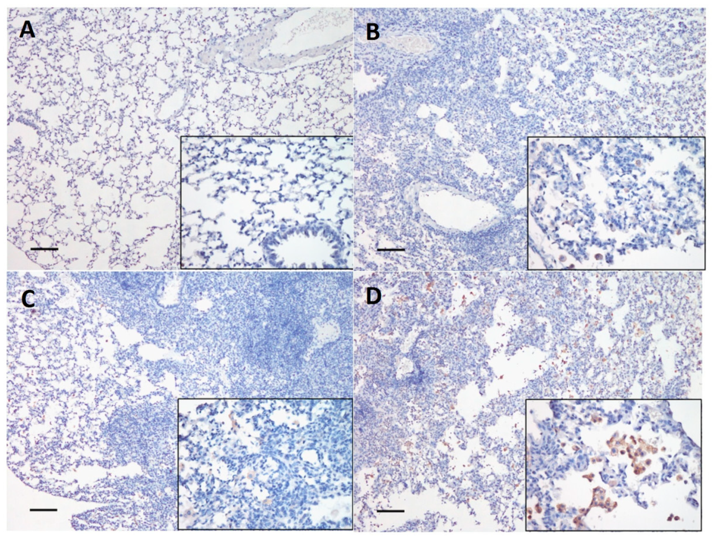 Viruses 12 00704 g008