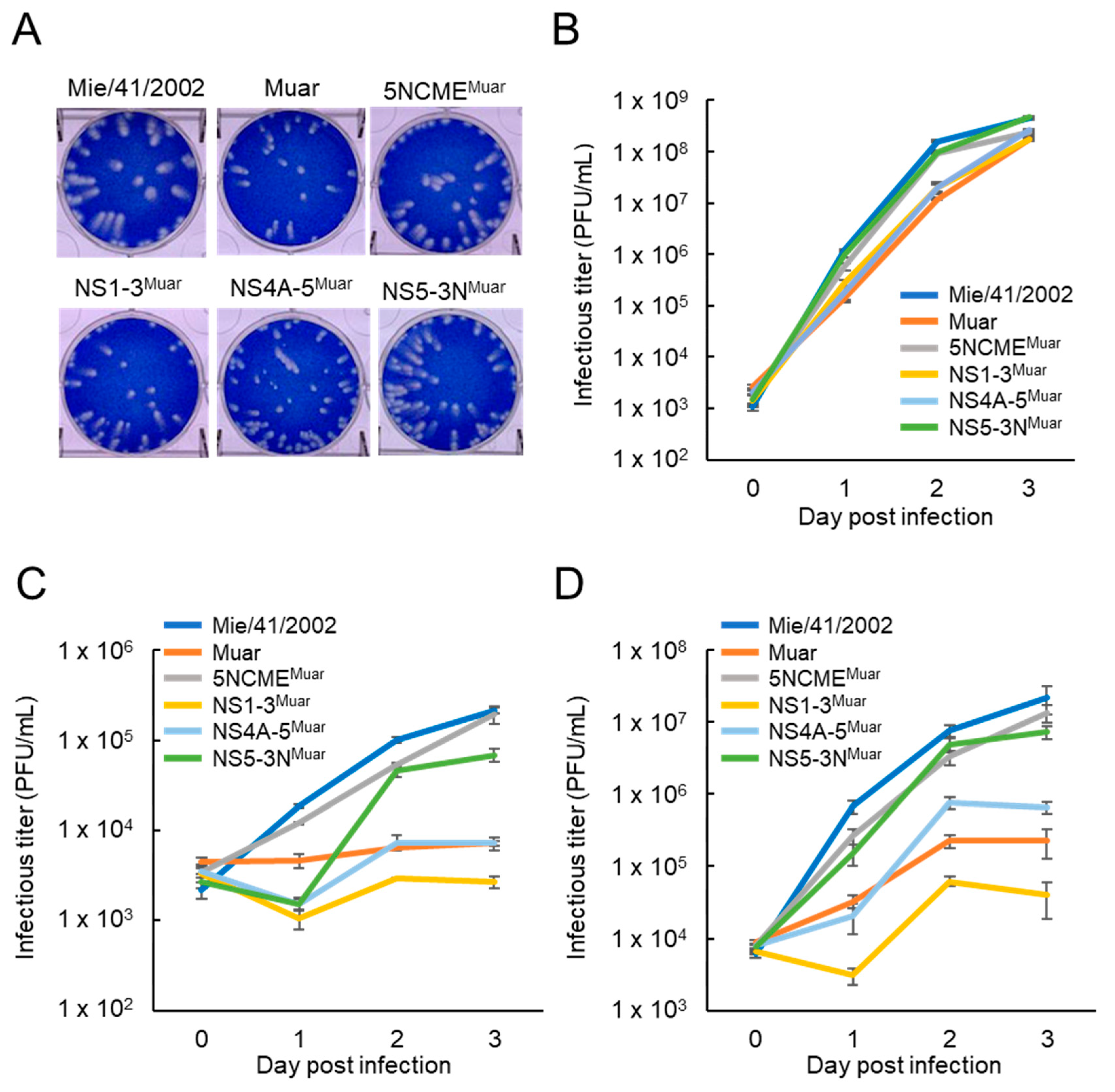 Viruses 12 00709 g002 Viruses 12 00709 g002