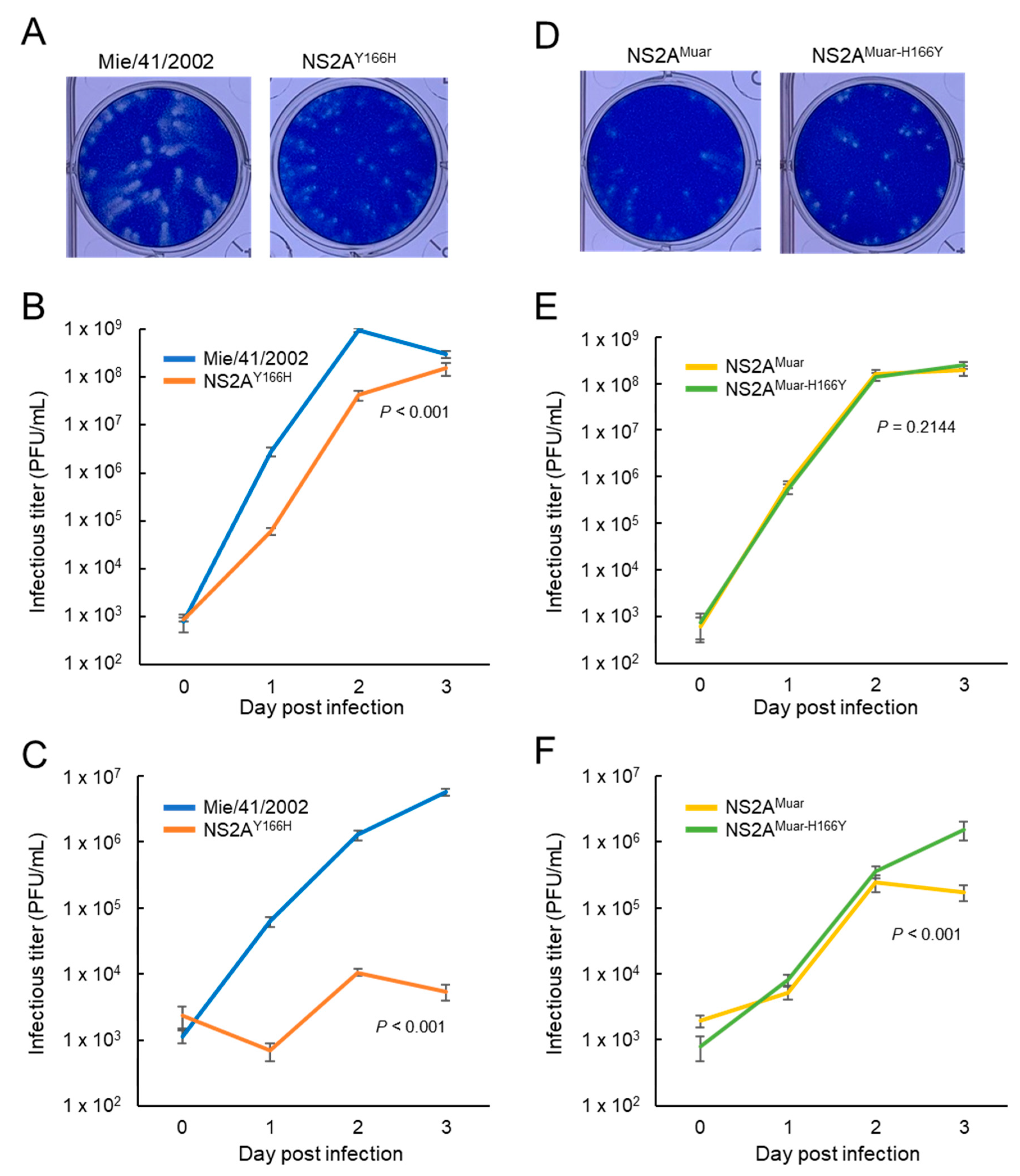 Viruses 12 00709 g006 Viruses 12 00709 g006