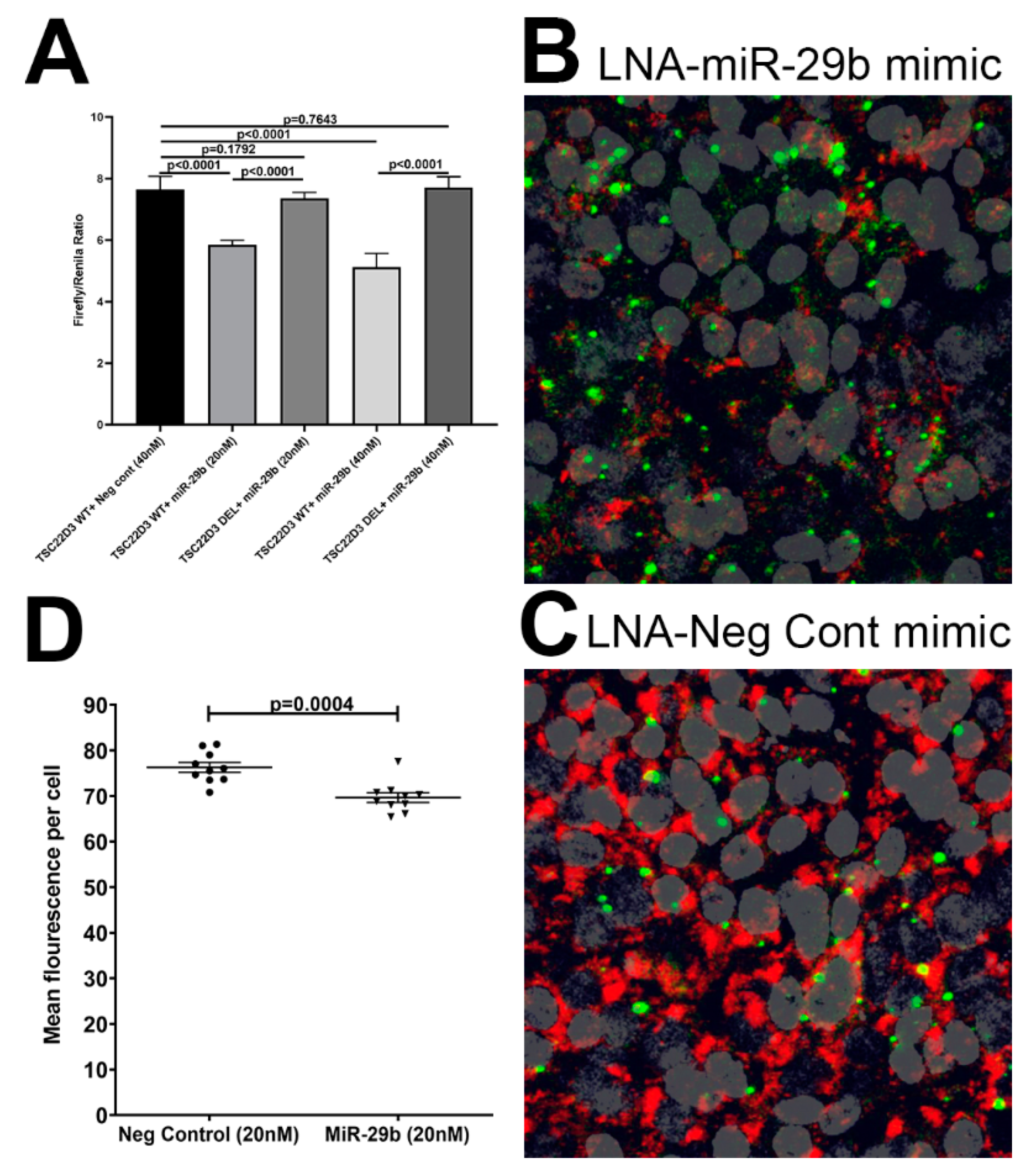 Viruses 12 00713 g006 Viruses 12 00713 g006