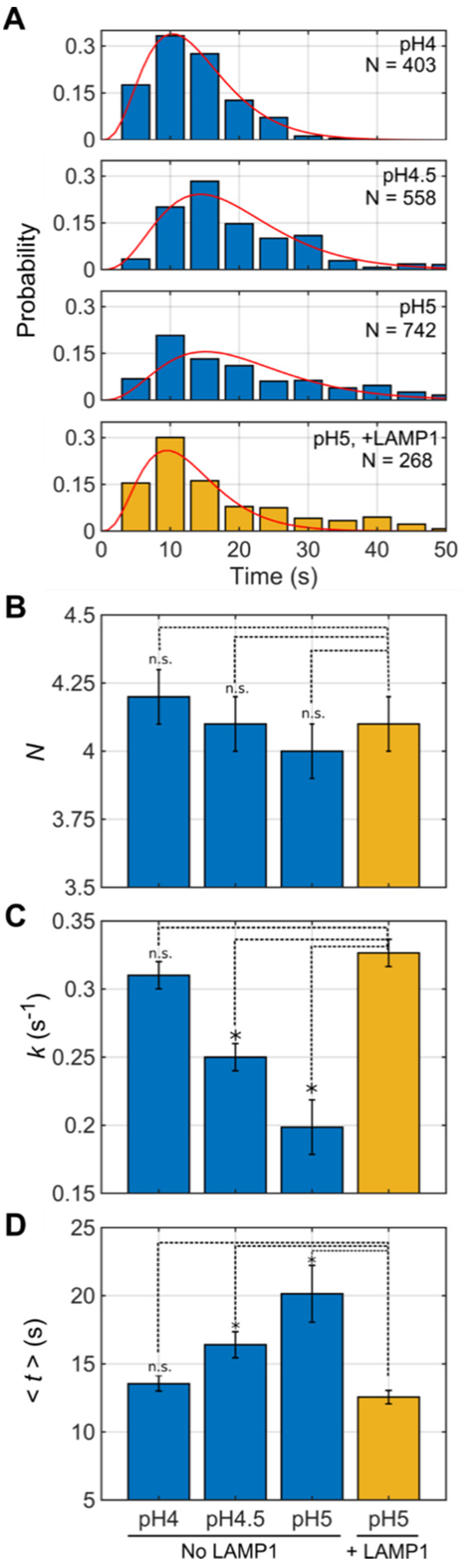 Viruses 12 00716 g004 Viruses 12 00716 g004
