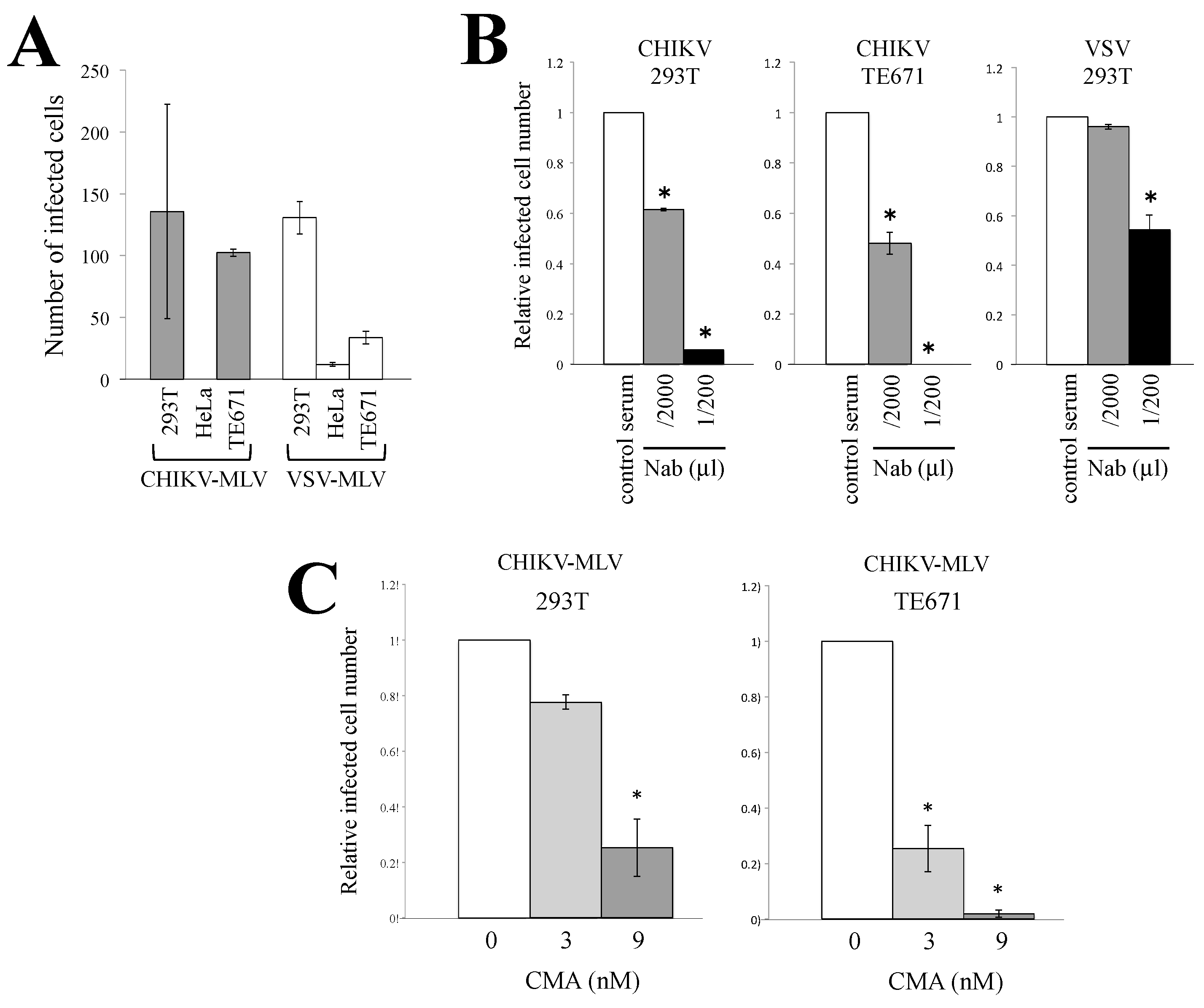 Viruses 12 00722 g001 Viruses 12 00722 g001