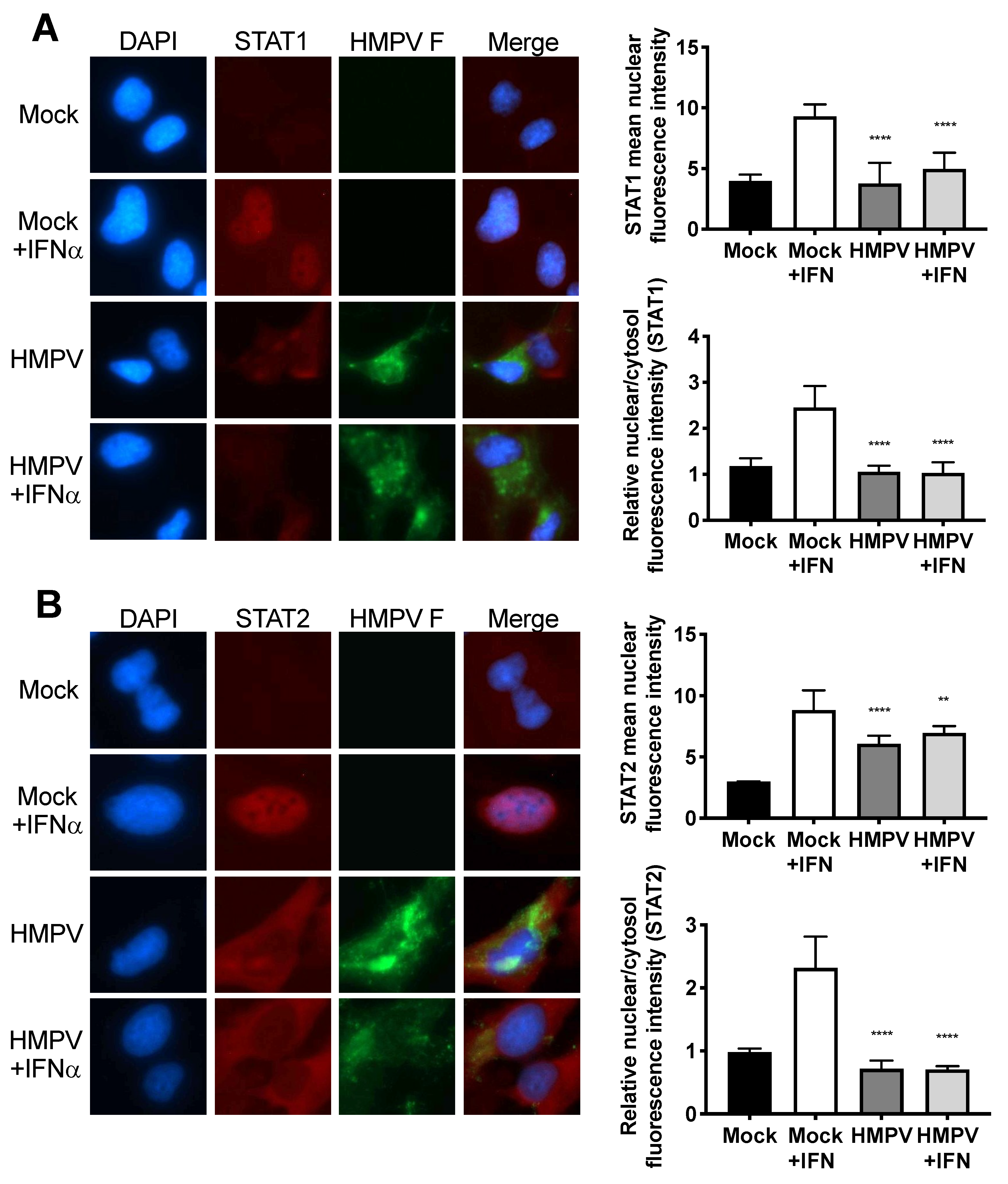 Viruses 12 00724 g002