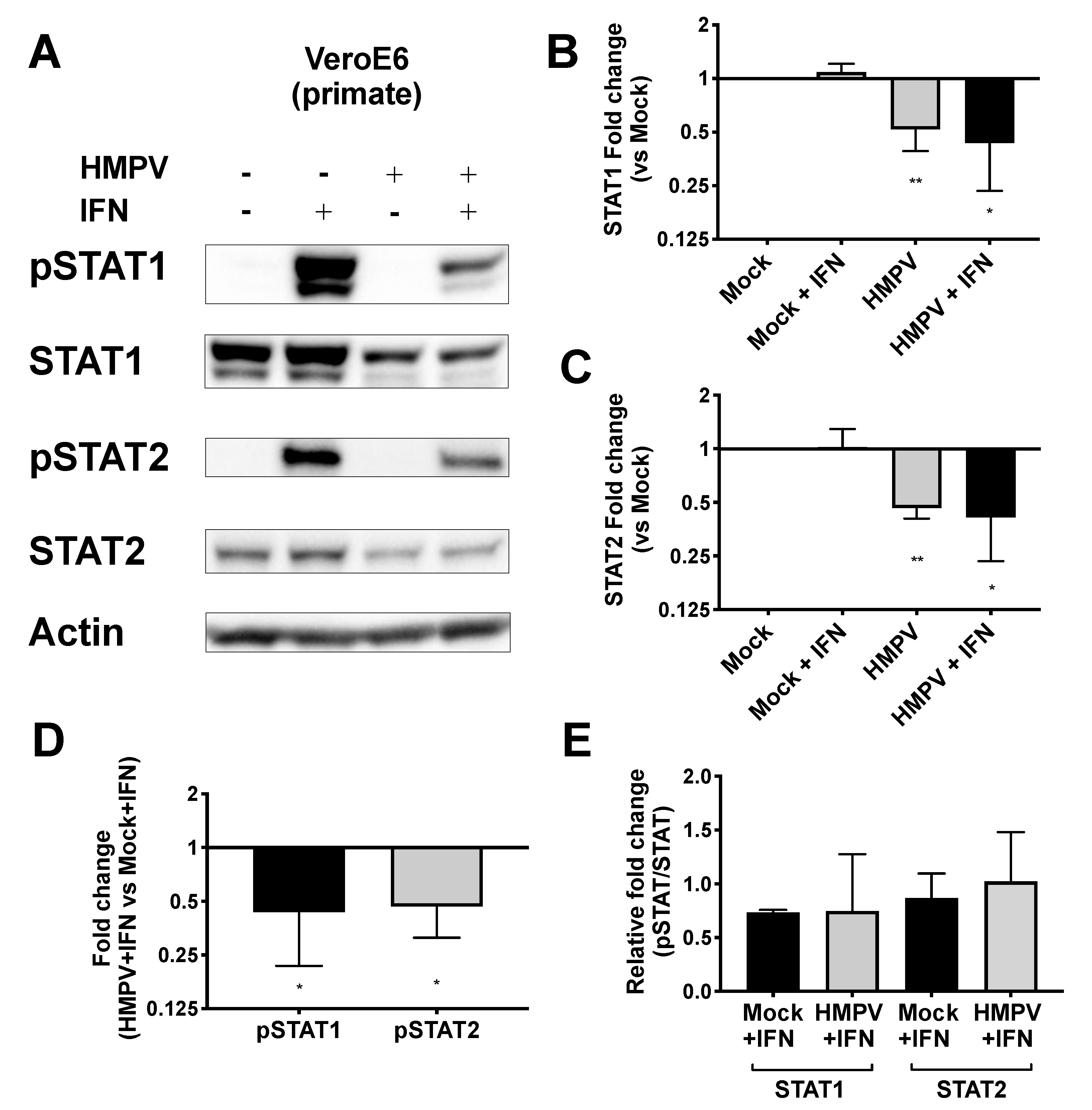 Viruses 12 00724 g003