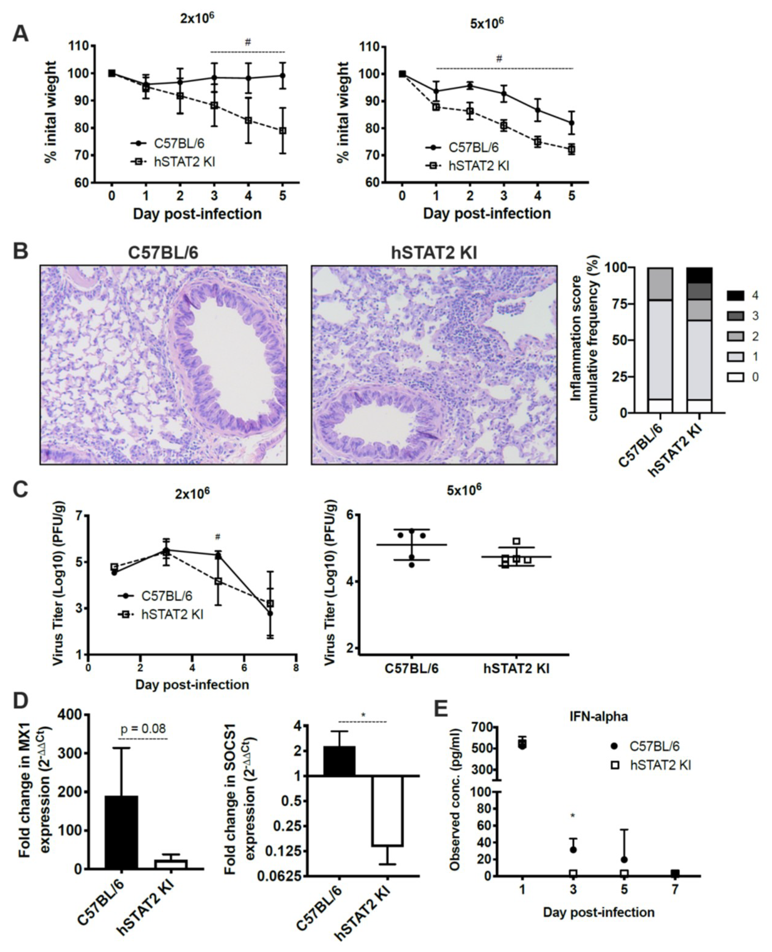 Viruses 12 00724 g007