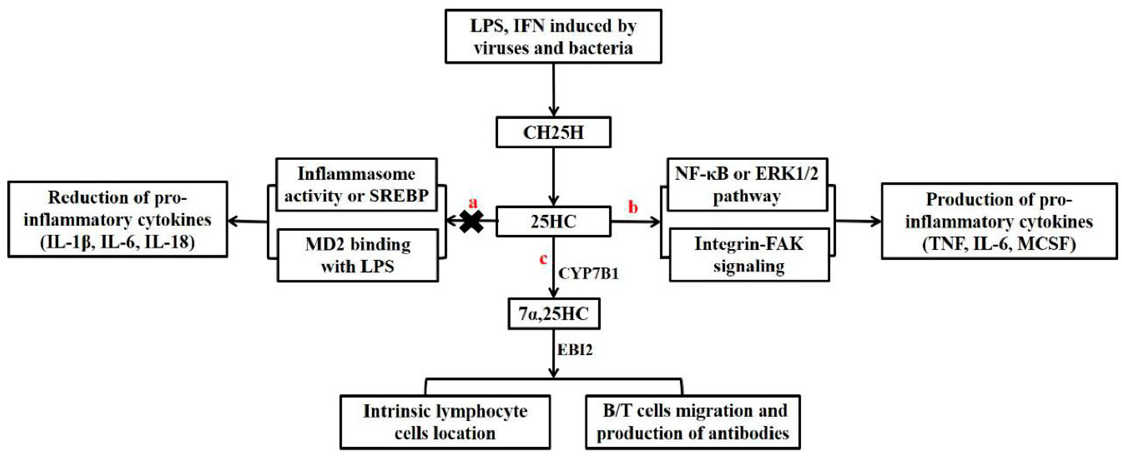 Viruses 12 00727 g002 Viruses 12 00727 g002