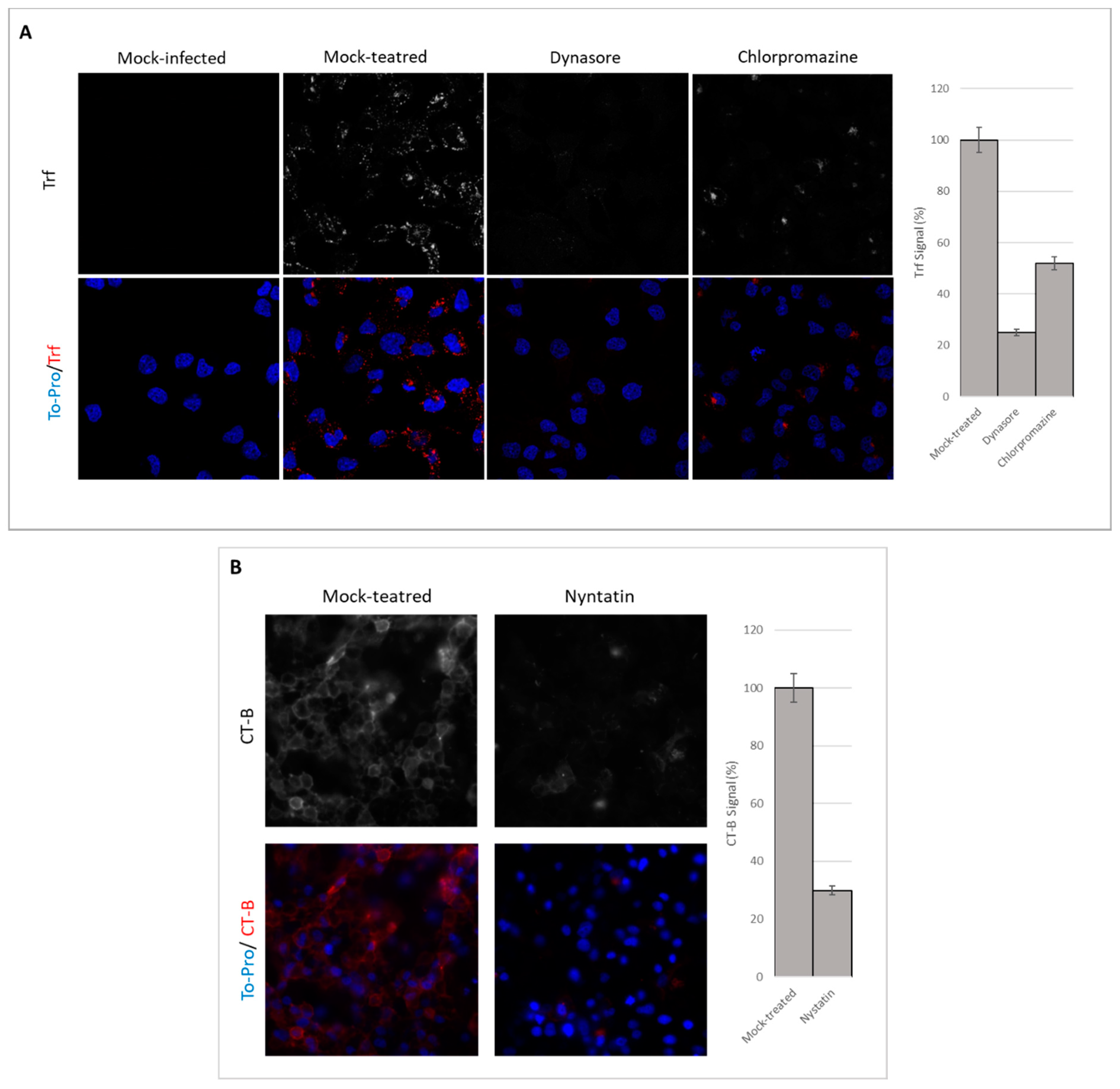 Viruses 12 00734 g002 Viruses 12 00734 g002