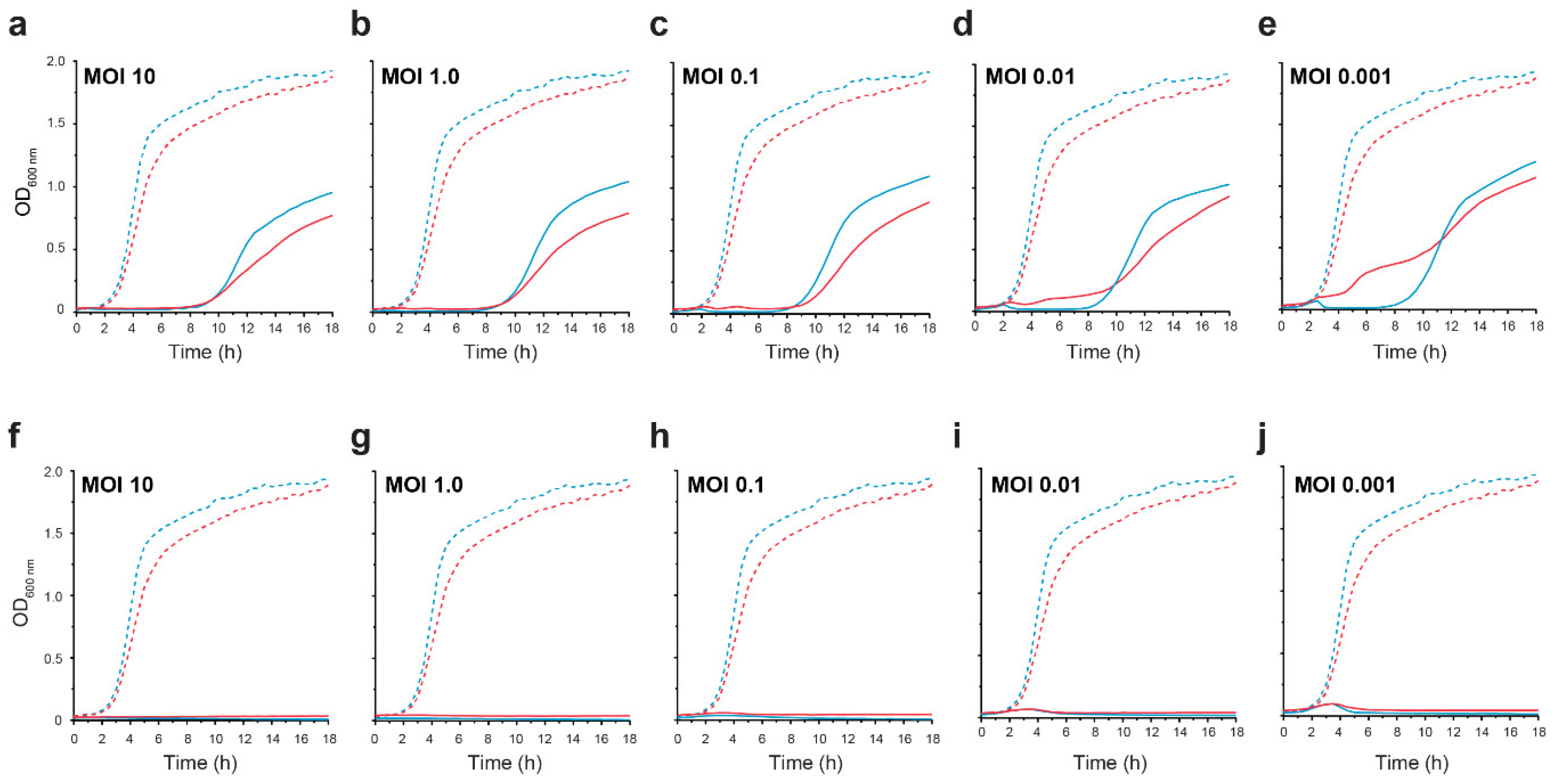 Viruses 12 00737 g003 Viruses 12 00737 g003