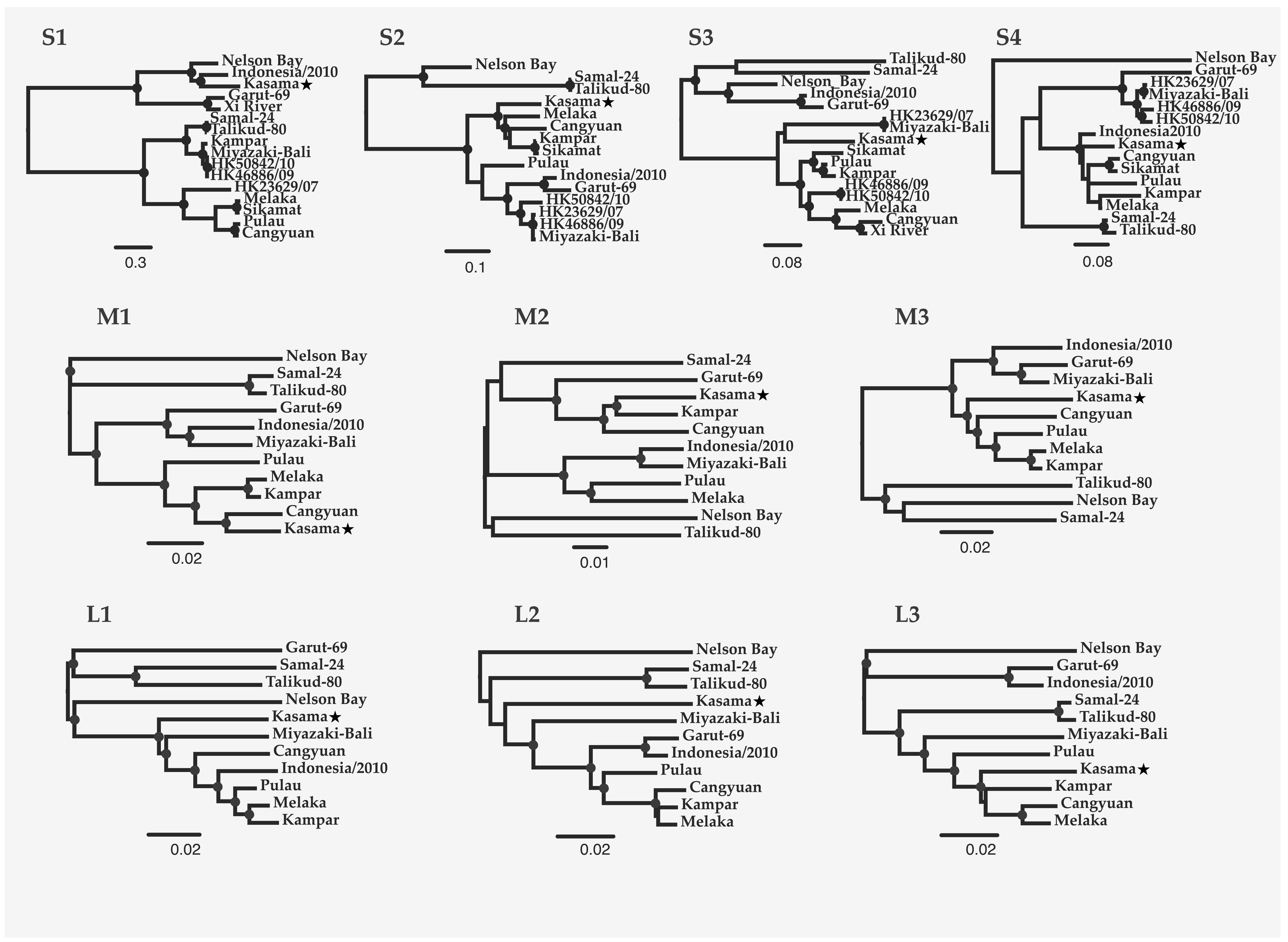 Viruses 12 00740 g002 Viruses 12 00740 g002